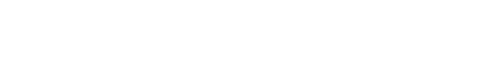 Logo with a smiling face inside a tag next to the word 'STEK' and 'USA'
