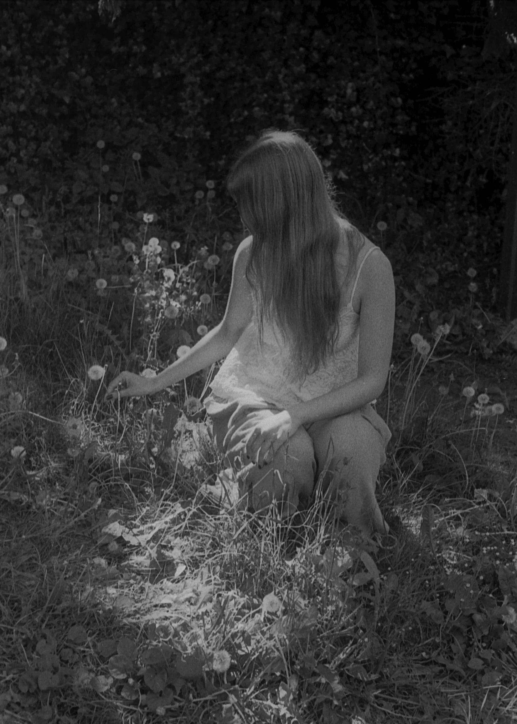 emma+picking+flower++copy.jpg