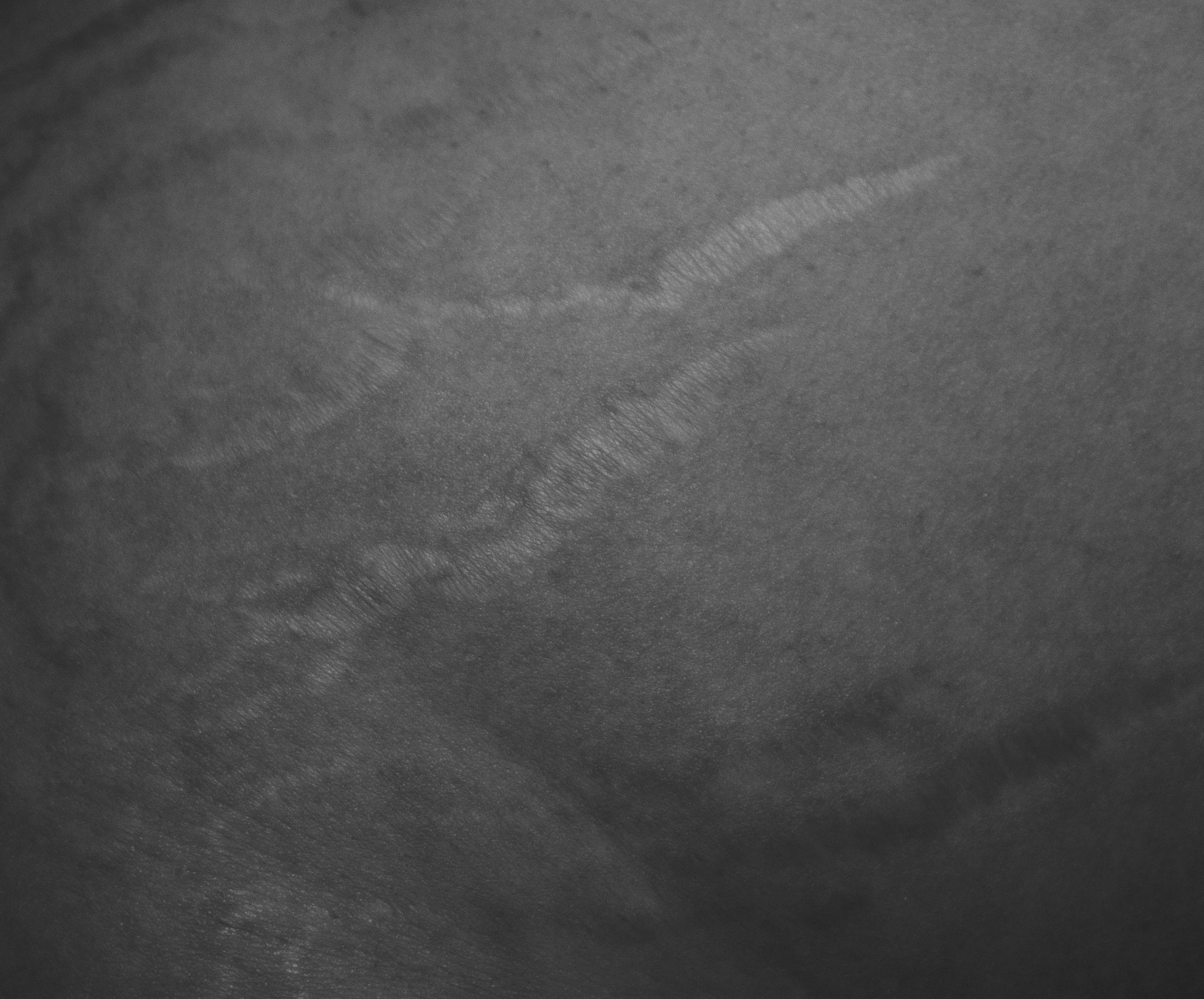 side marks copy.jpg FINAL.jpg