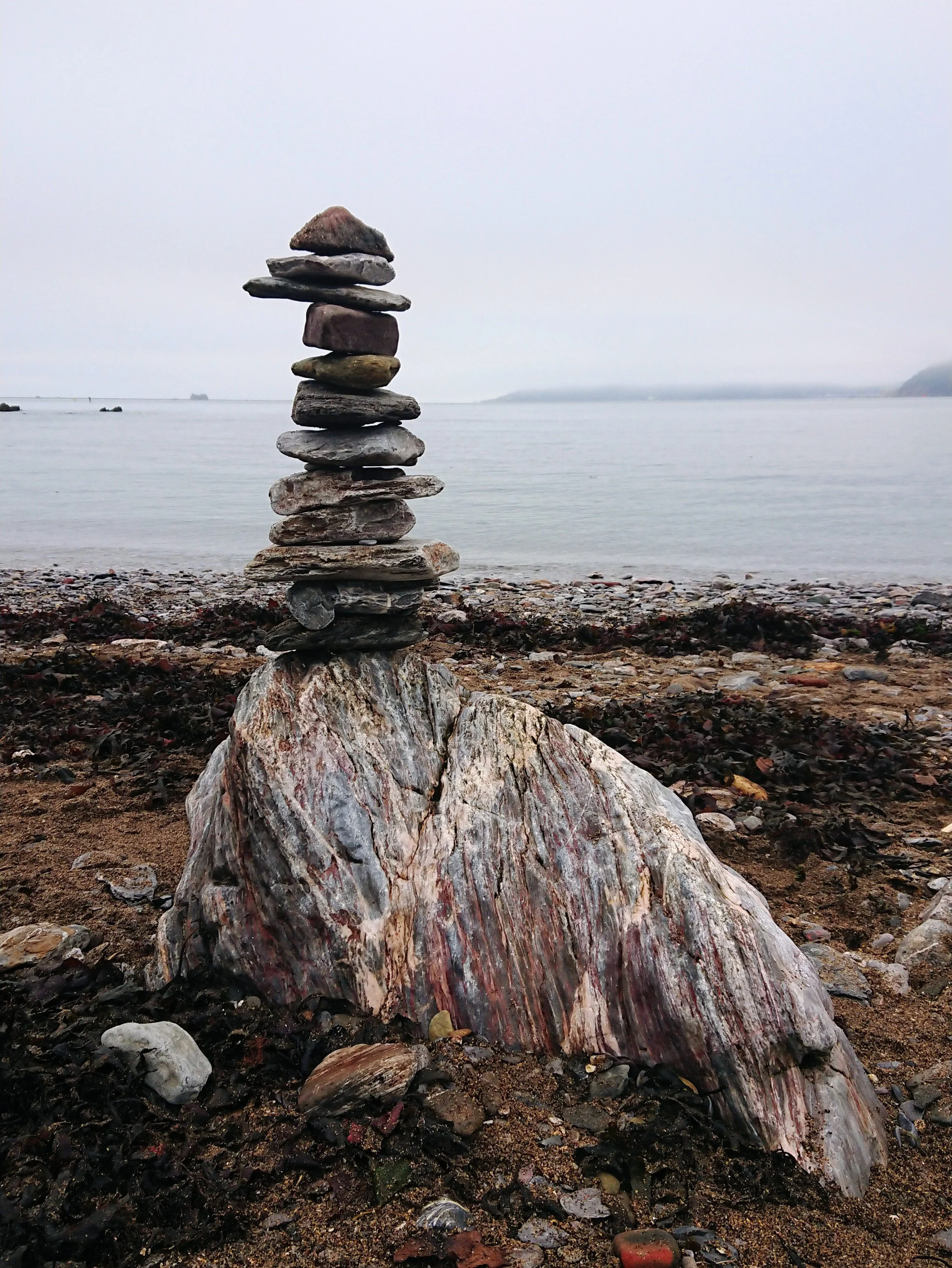 'Emu on the Beach' Mount Batten Beach, 2024