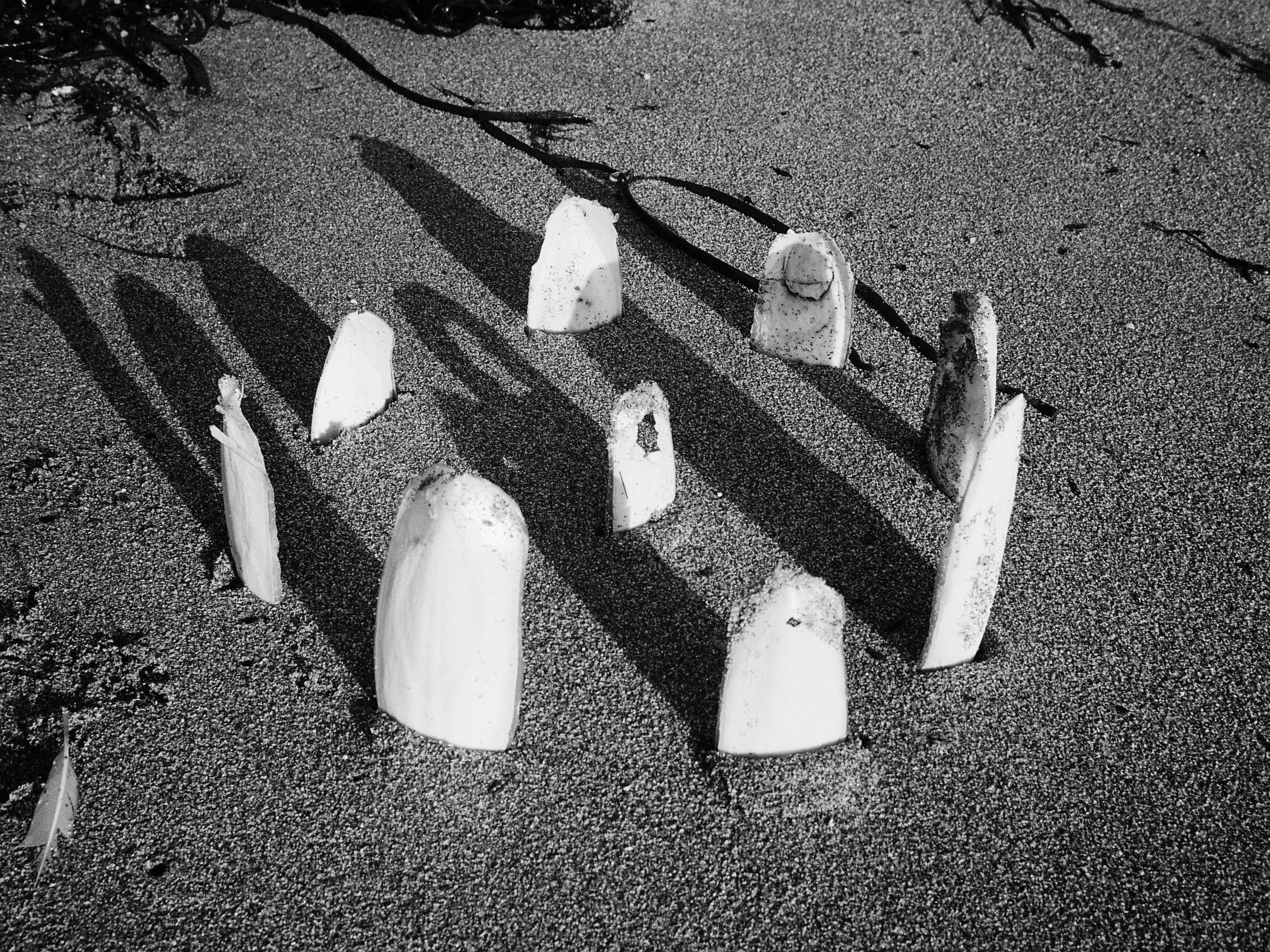 'Bonehenge' 2024.