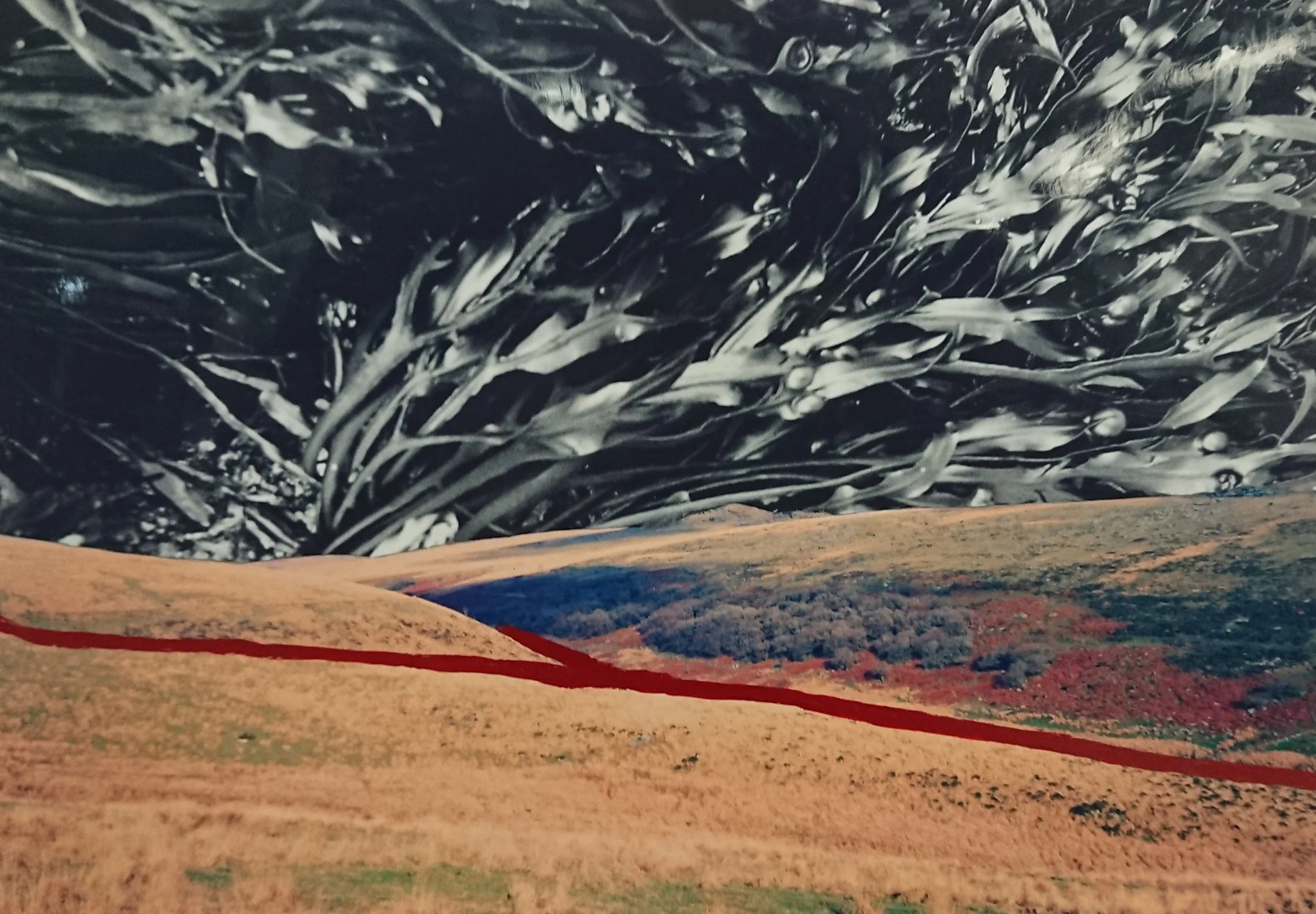 'The rivers meet the sea #1' 2023.