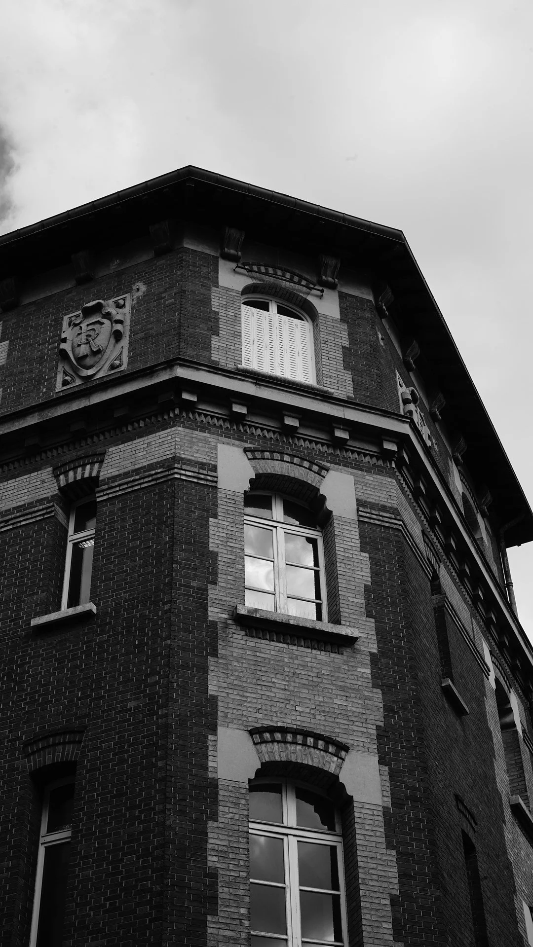 LRG__DSC0727 (1).JPG