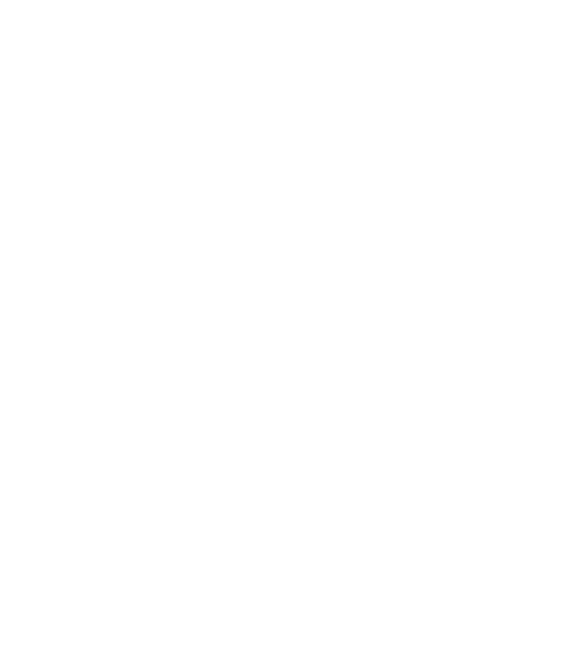 Logo of the University of North Carolina at Chapel Hill featuring a stylized interlocked 'N' and 'C' with the university's name below.