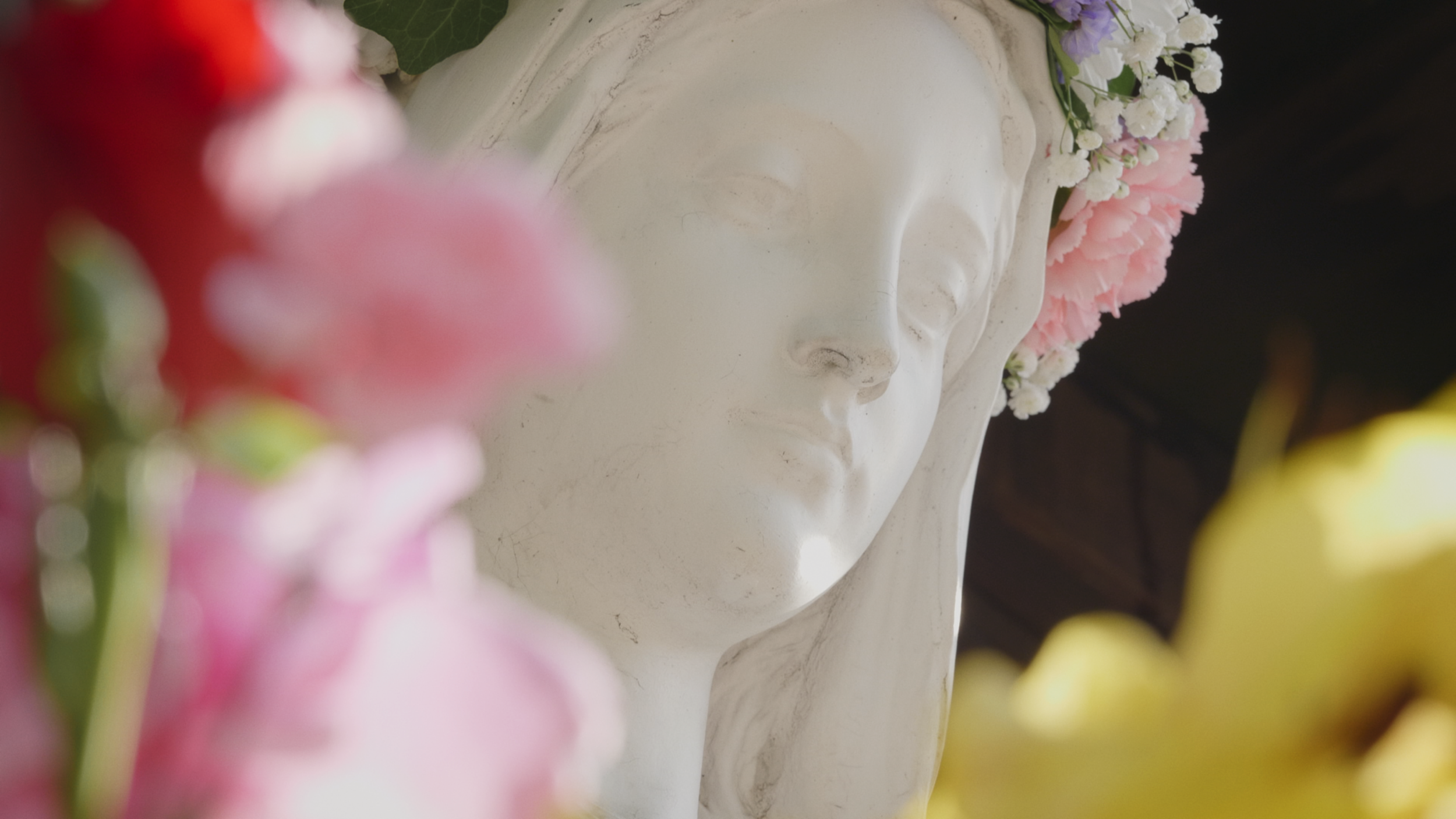 Close-up of a white classical-style bust with pink and white flowers in the background, and blurred pink and yellow flowers in the foreground.