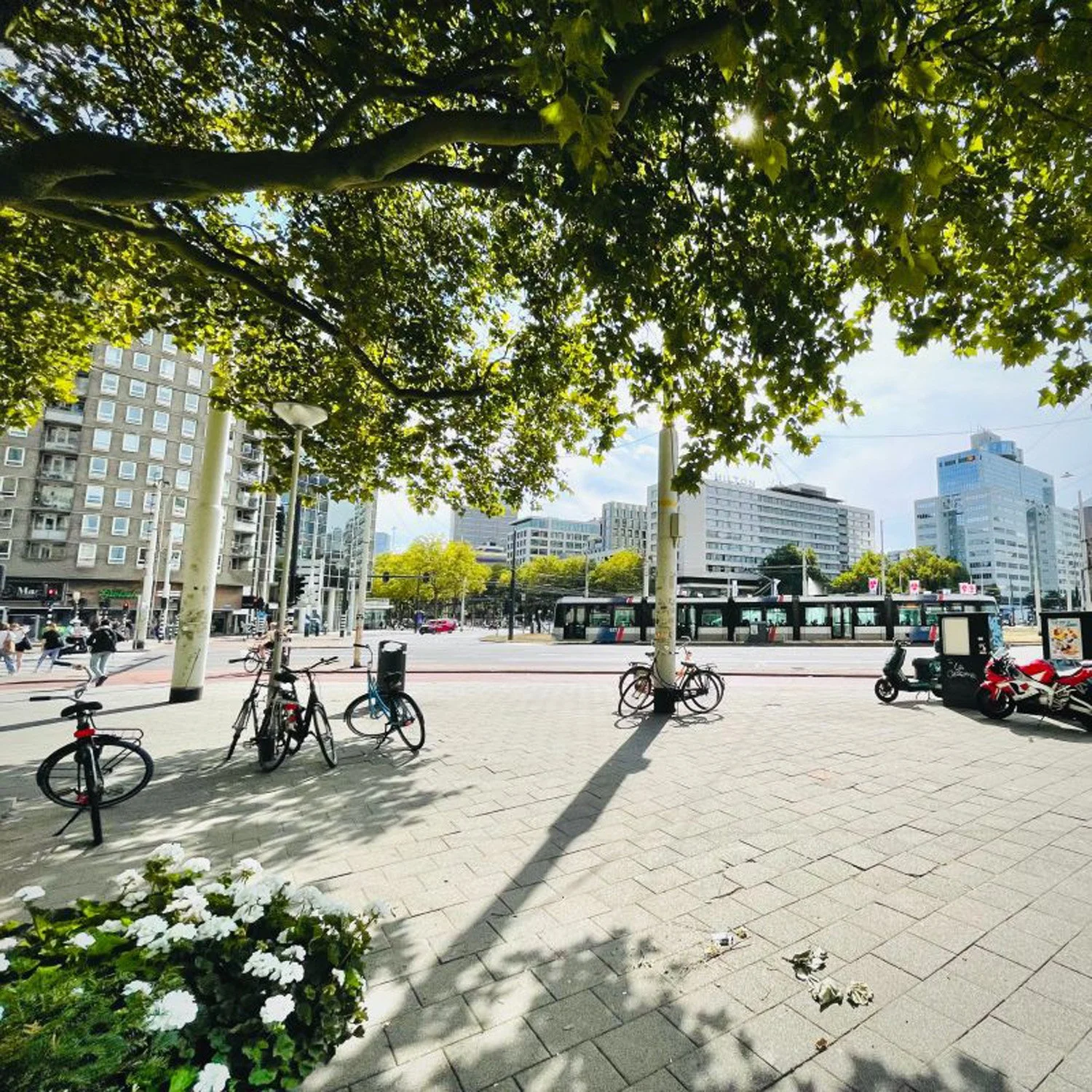 ZICHZACH kantoor aan het Hofplein te Rotterdam