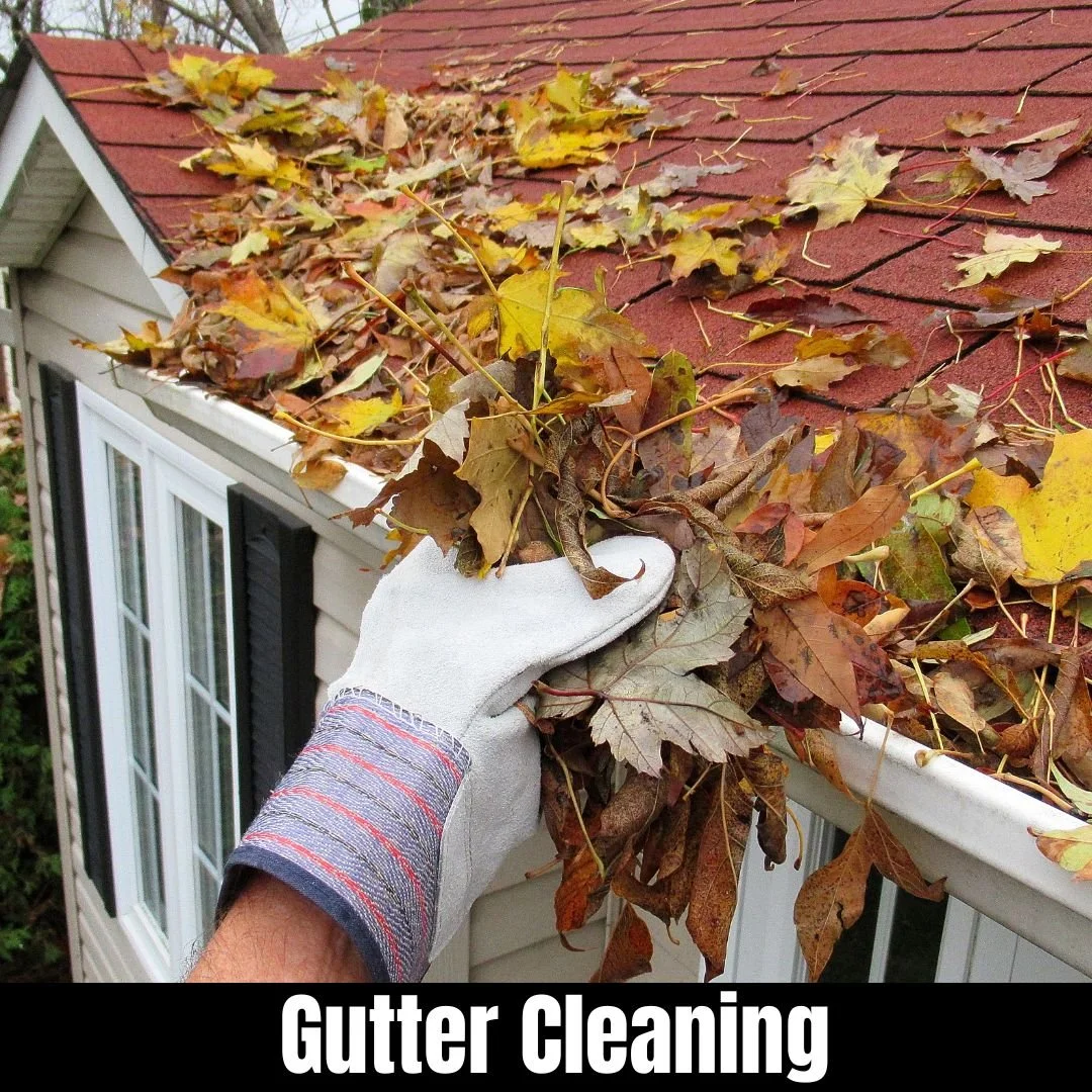 Website gutter cleaning moblie.jpg