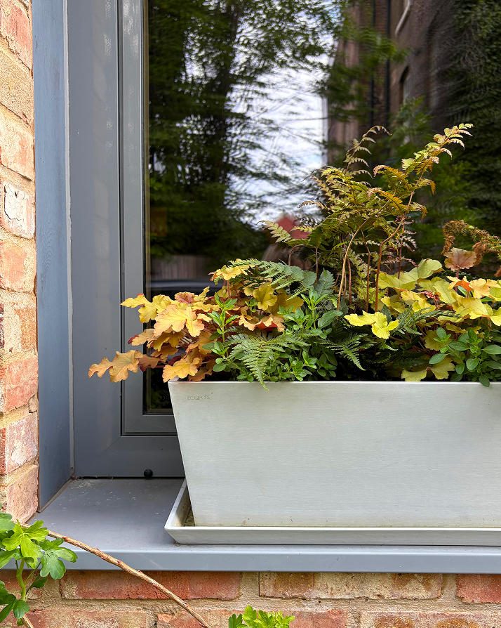 A white rectangular planter box with green and yellowish plants, sitting on a gray window sill beside a brick wall.