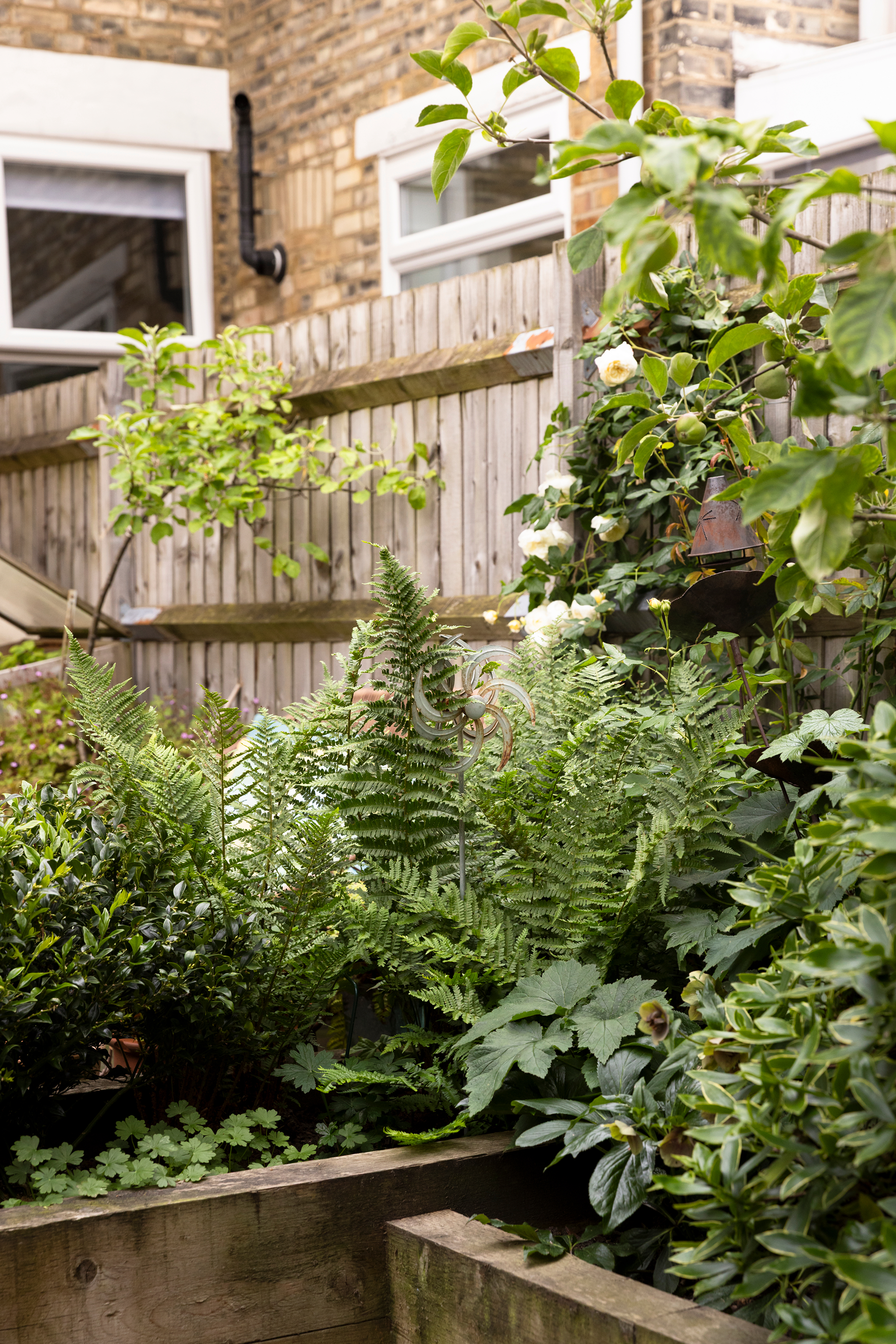 A backyard garden with various green plants, ferns, and flowering shrubs enclosed by a wooden fence, with a brick house and windows in the background.