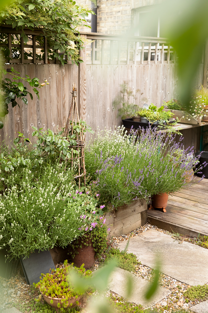 A small garden with potted plants and flowers along a wooden fence and deck, with lush greenery and a stone pathway.