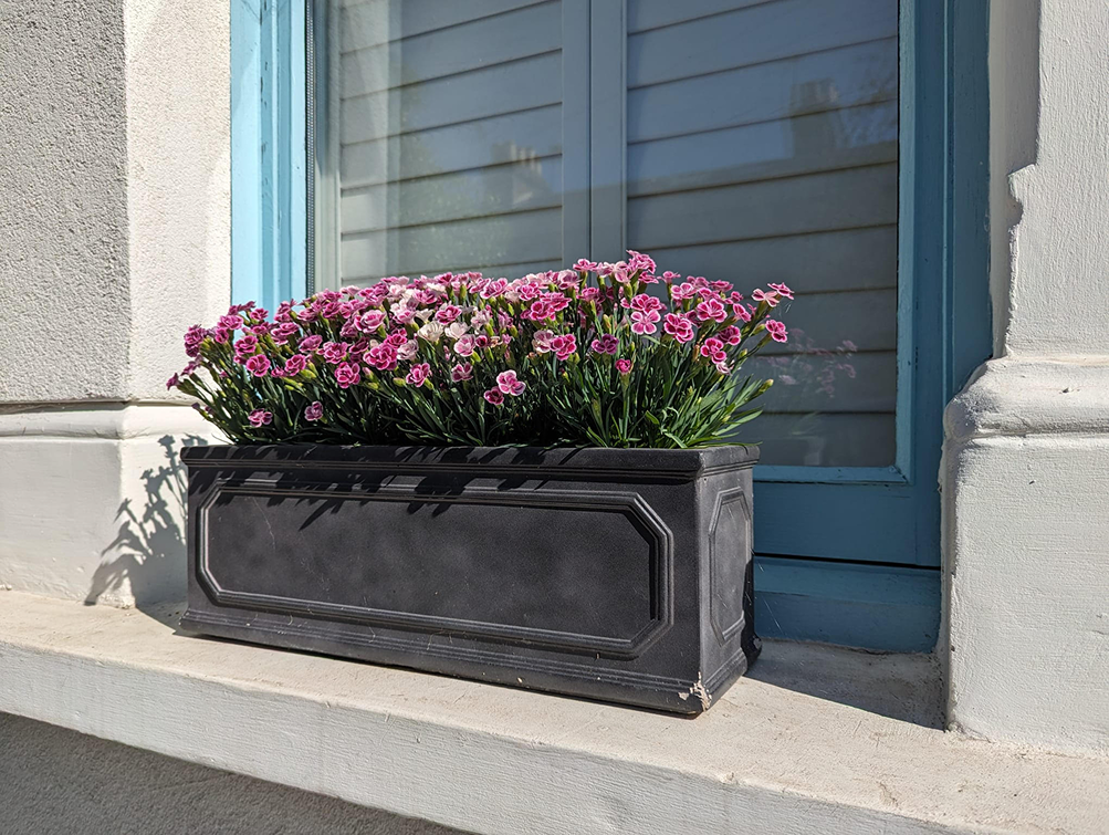 Pink and white flowers in a black rectangular planter on a windowsill outside a house with light-colored exterior walls and blue window trim.