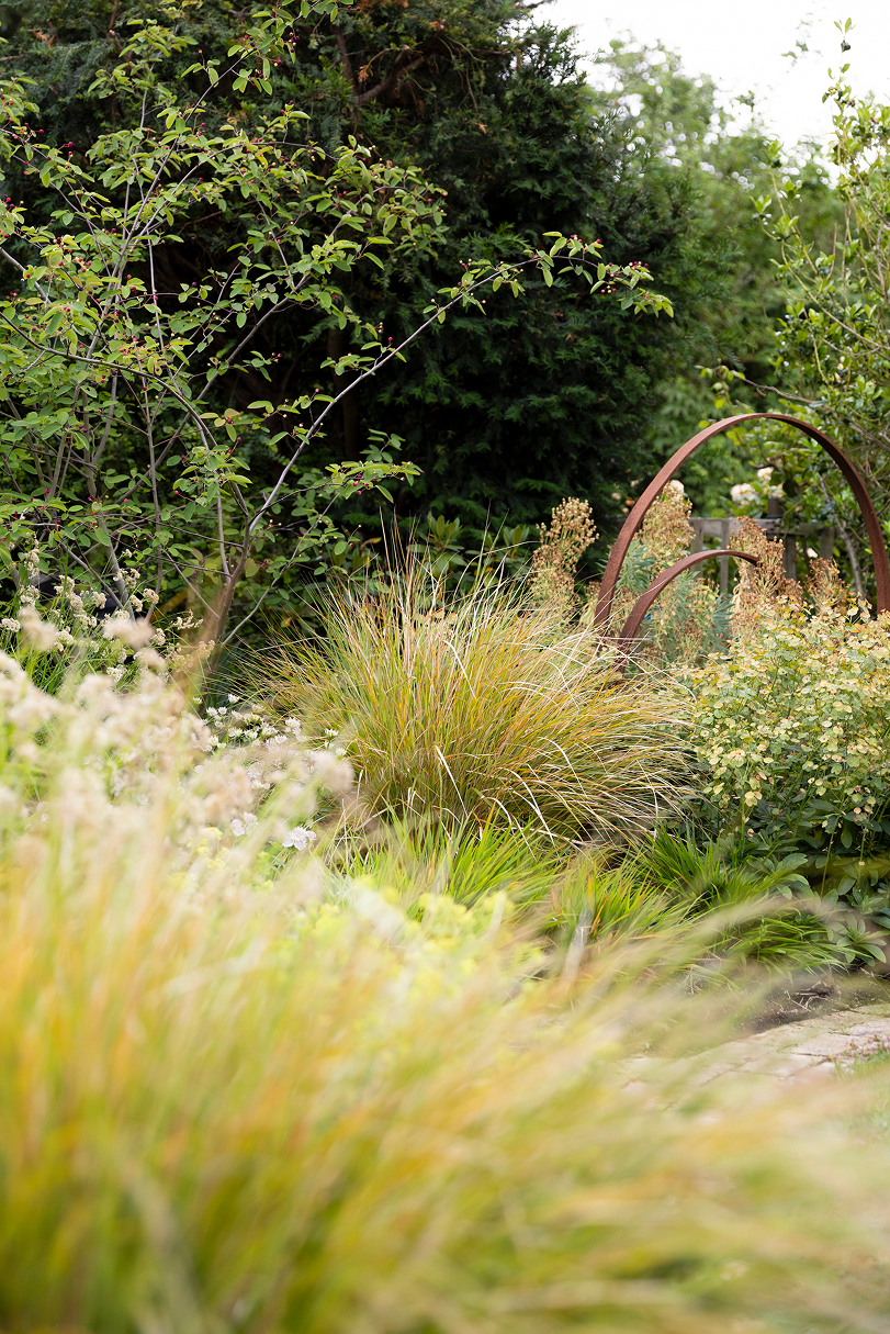 A garden with various green plants, grasses, and shrubs, with a decorative metal arch structure in the background.