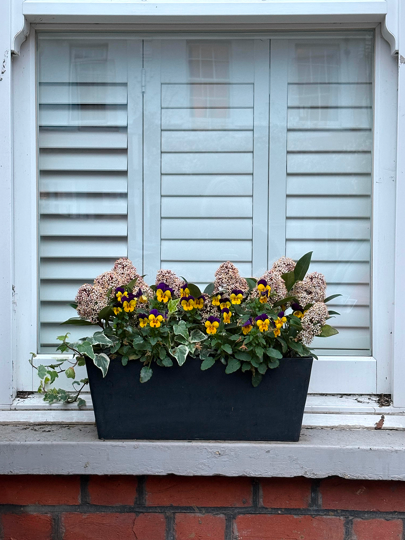 A window with white shutters and a black flower box containing pink and purple flowers with yellow and purple pansy flowers.