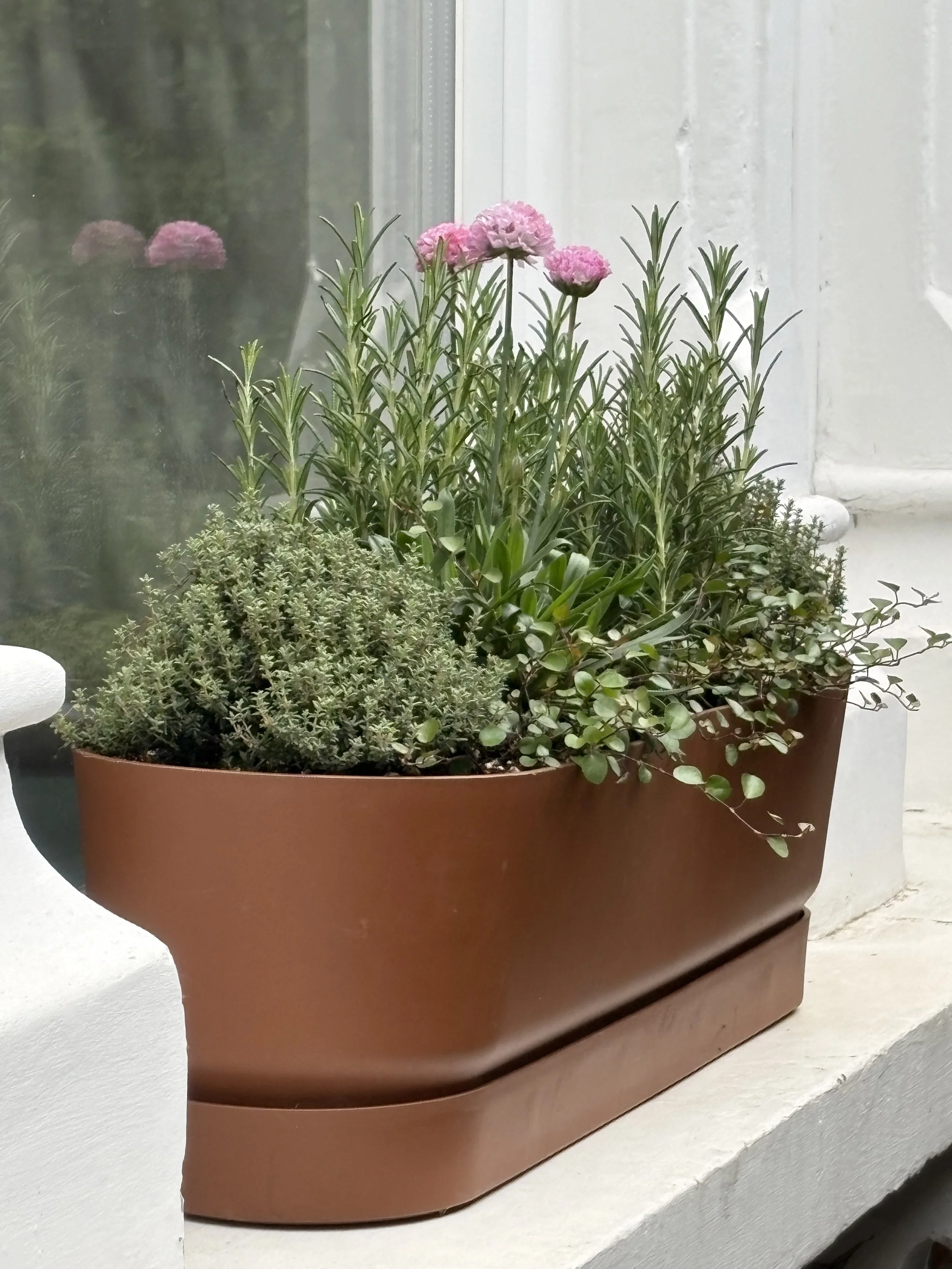 A terracotta rectangular planter filled with various green plants, placed on a white surface in front of a window.