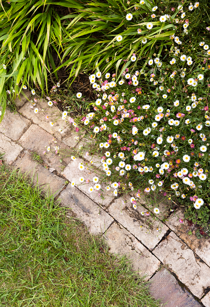 out-front-design-woodford-brick-path-edging (1).jpg (1)