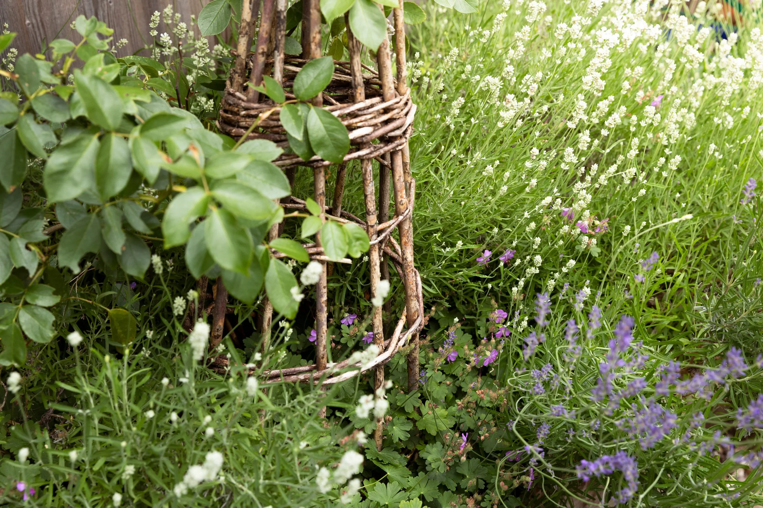 A garden scene with a small woven twig sculpture and green leafy plants, including white, purple, and pink flowers.