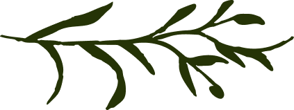 Illustration of a green plant branch with small leaves.