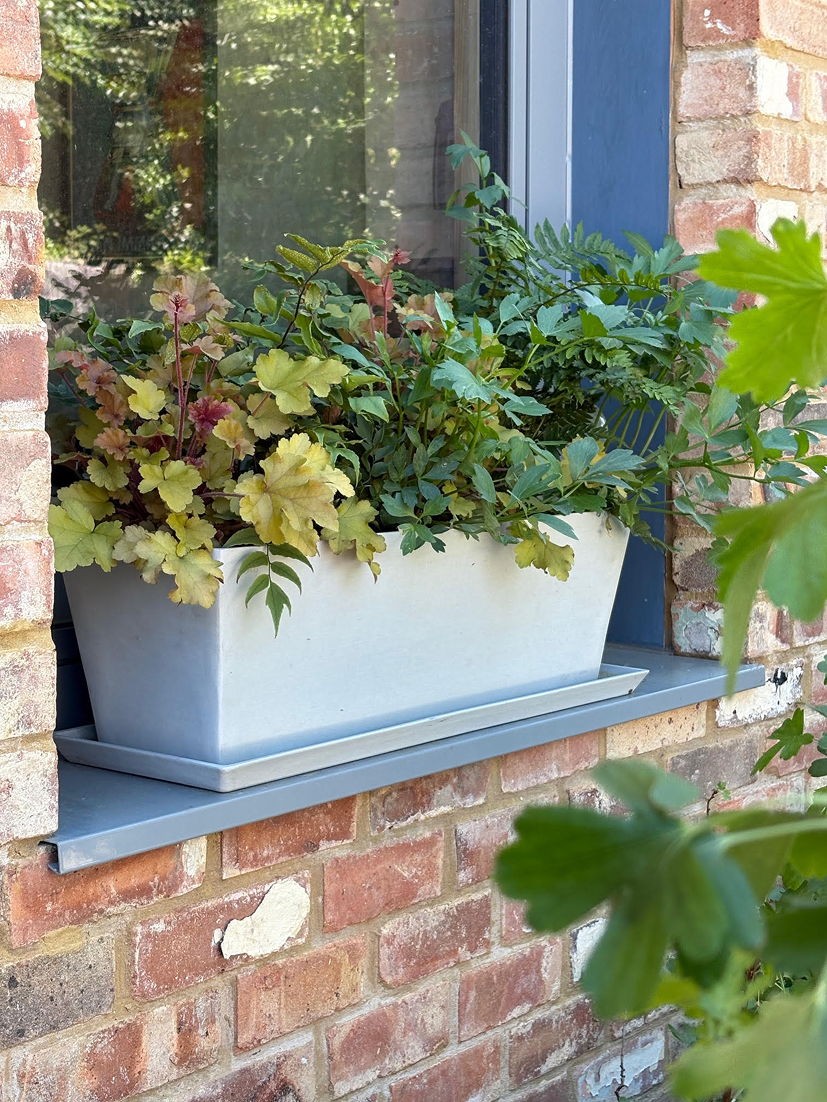 A white rectangular flower box filled with green plants, sitting on a blue window ledge outside a brick wall with a window.