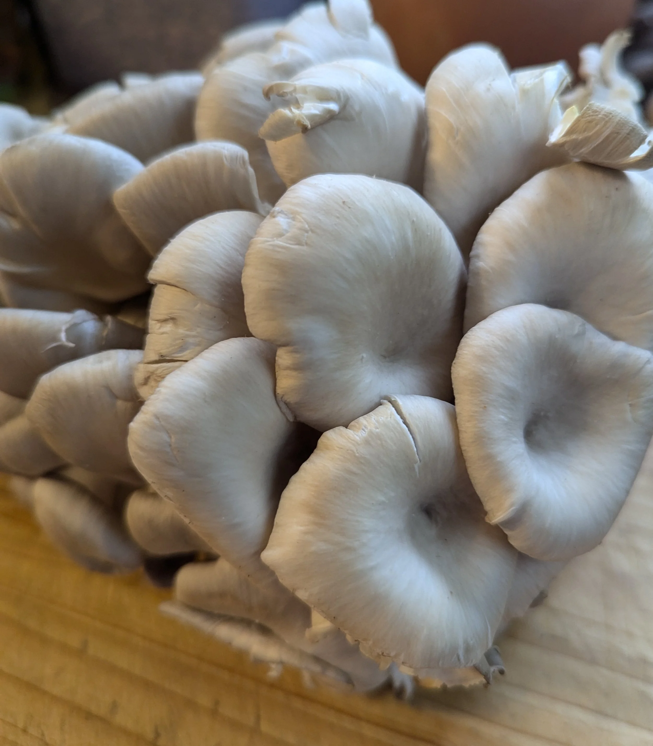 Cooking Mushrooms as Your Swap — The Ingredient That Changed Everything for Us