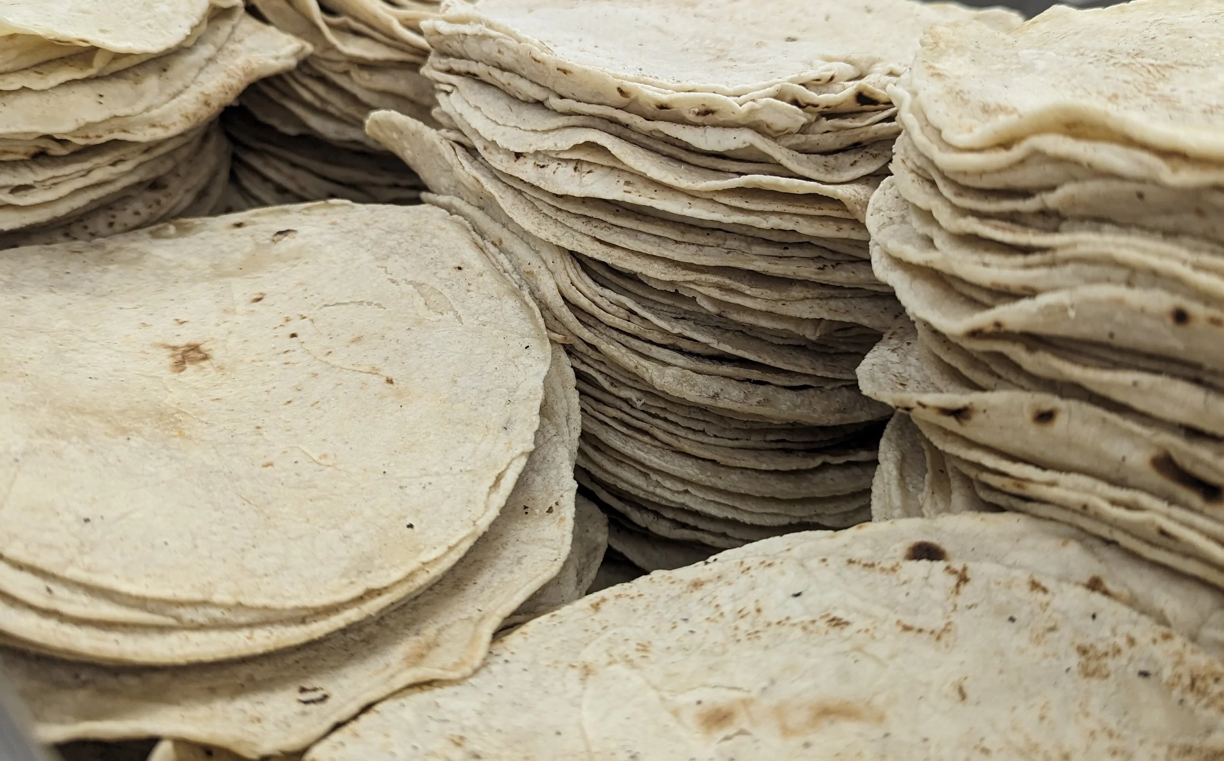 Corn Tortillas from Scratch — Practicing and Preserving a Tradición Mexicana