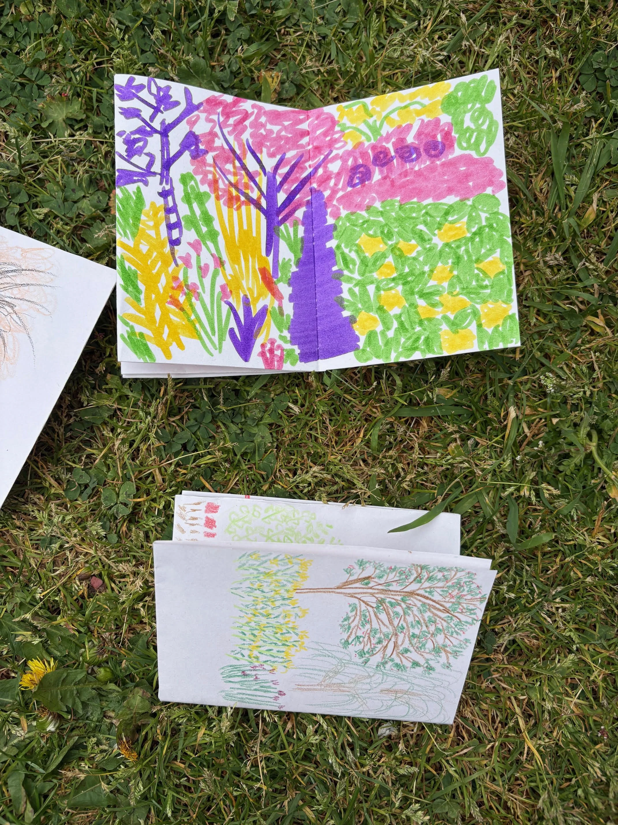 Colorful drawing of trees and plants made with markers on white paper, placed on grass.