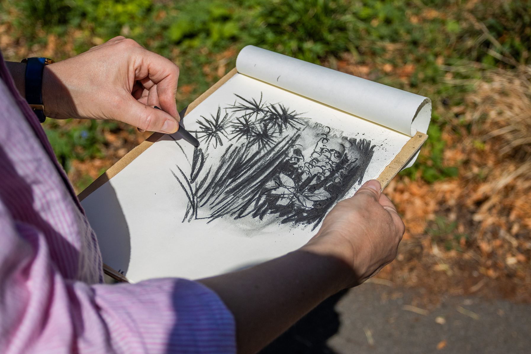 A person drawing botanical sketches of plants in a sketchbook outdoors, with their hands visible holding a pen and the sketchbook.