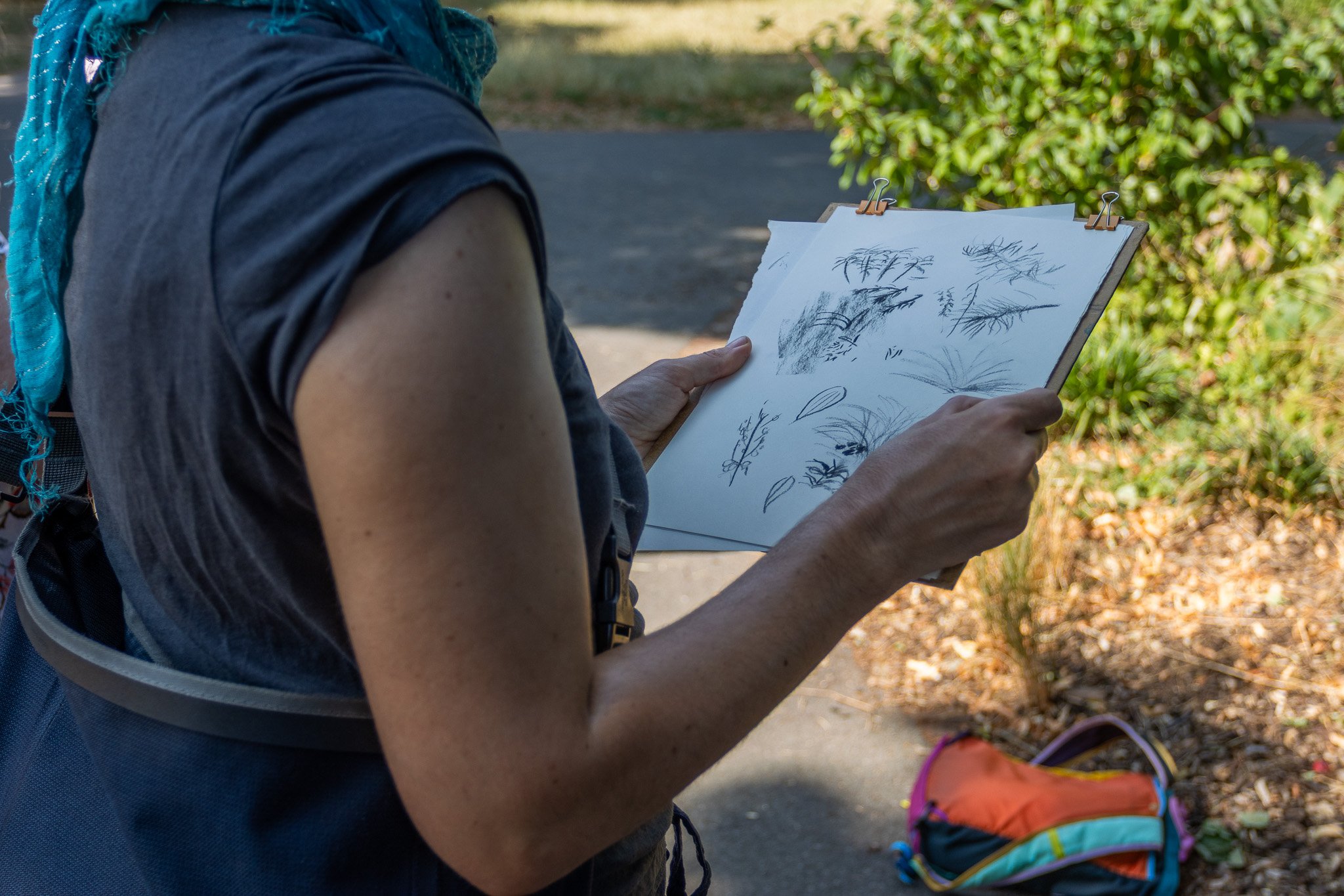 Person holding a sketchbook with botanical sketches outdoors.