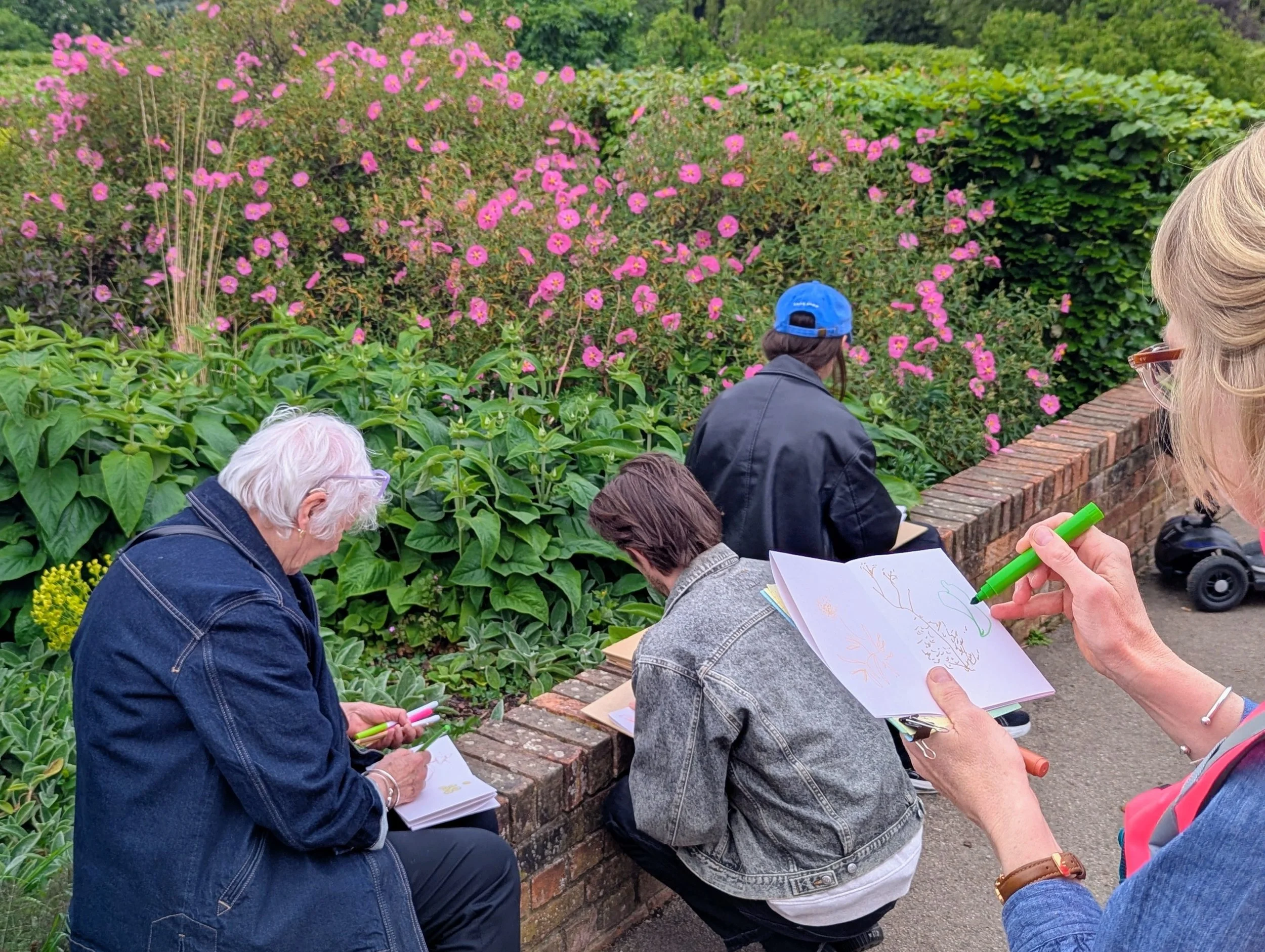 A group of people sitting and standing by a brick wall outdoors, observing pink flowers and greenery.
