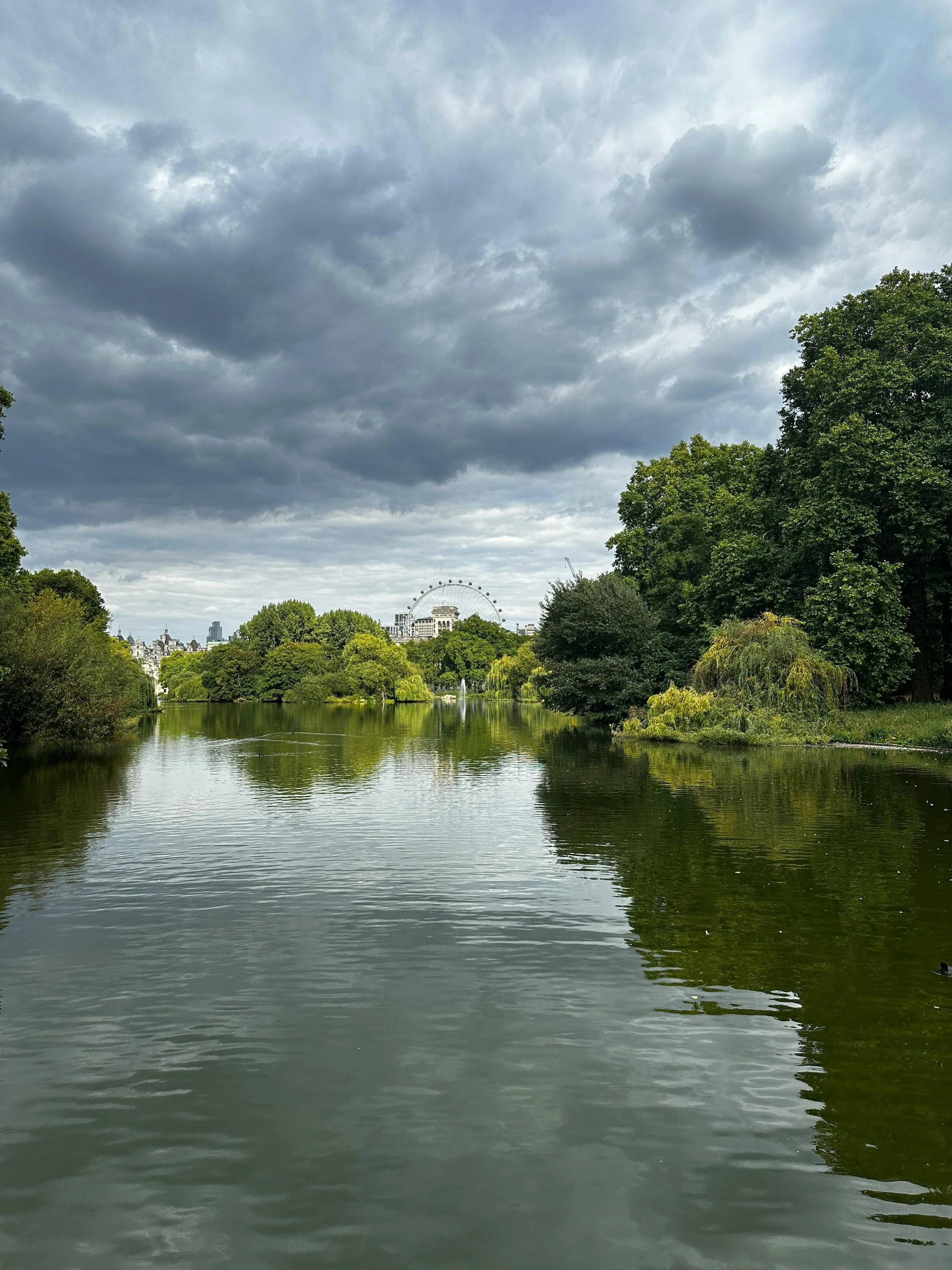 A park with a river, lush green trees on both sides, a cloudy sky, and a city skyline with a Ferris wheel in the background.