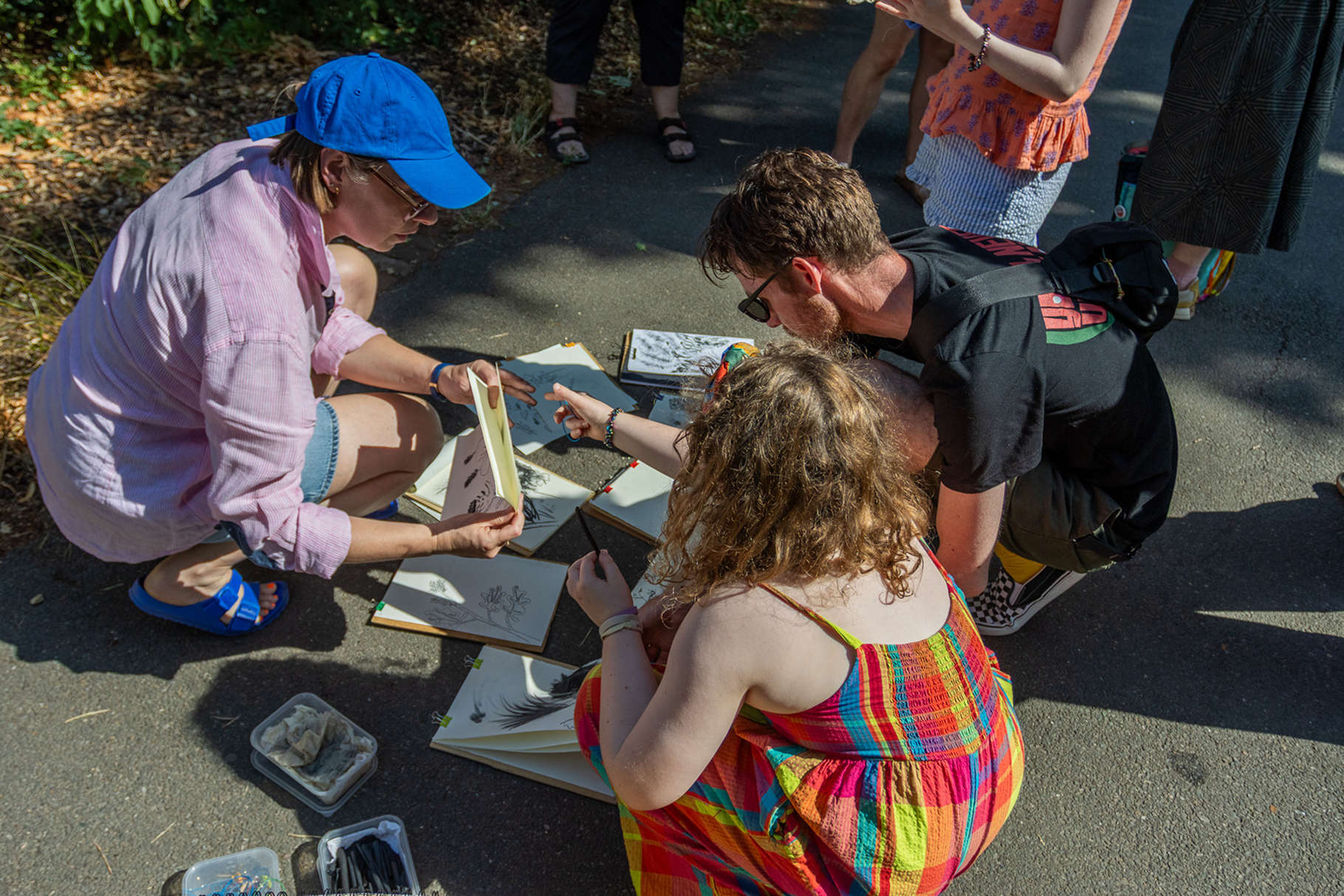 Group of people gathered on a paved path outdoors, engaged in drawing and observing nature, surrounded by trees and leaves.
