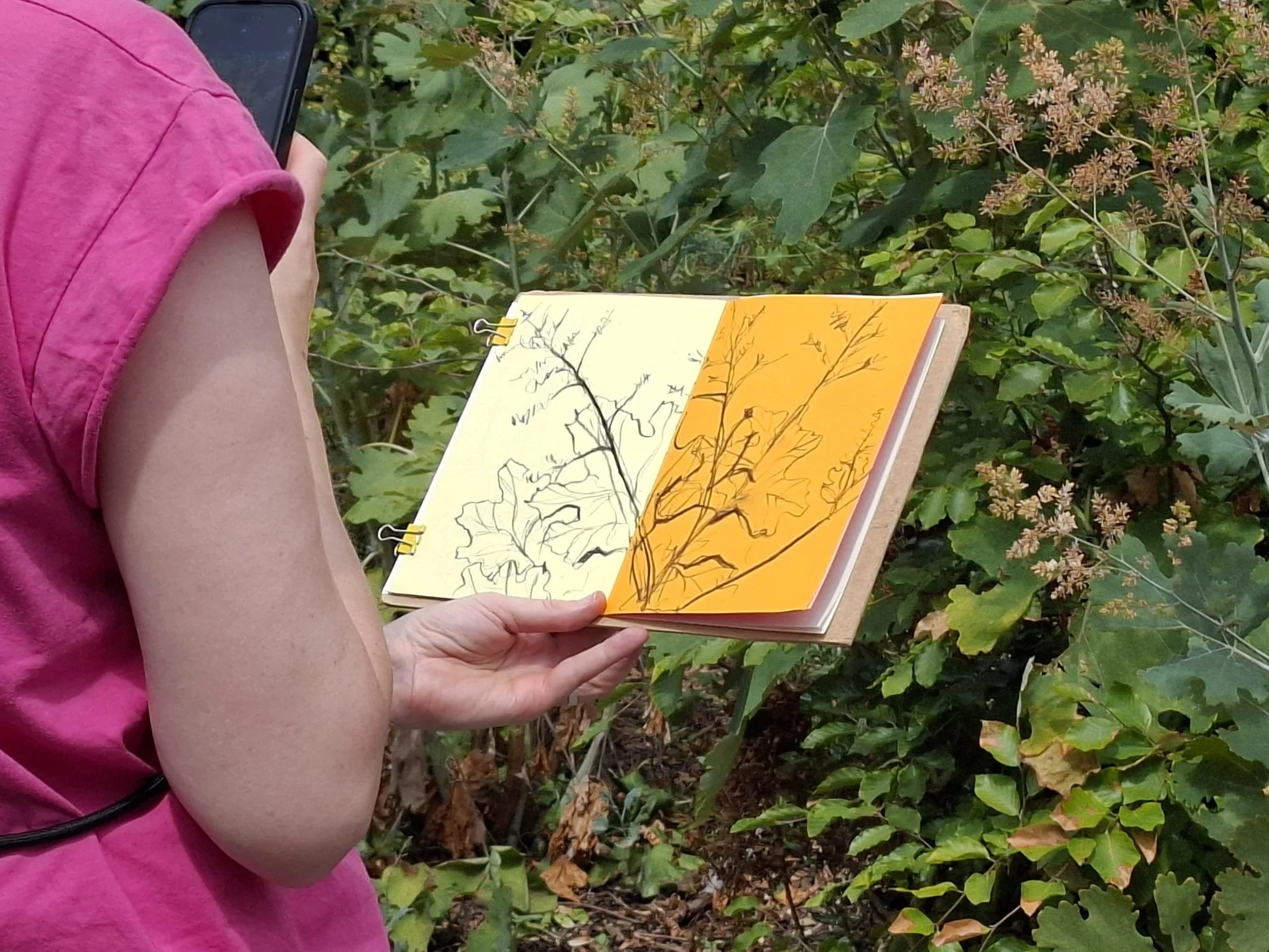 A person wearing a pink shirt is holding an open sketchbook with drawings of trees, standing outdoors amidst green plants and foliage.