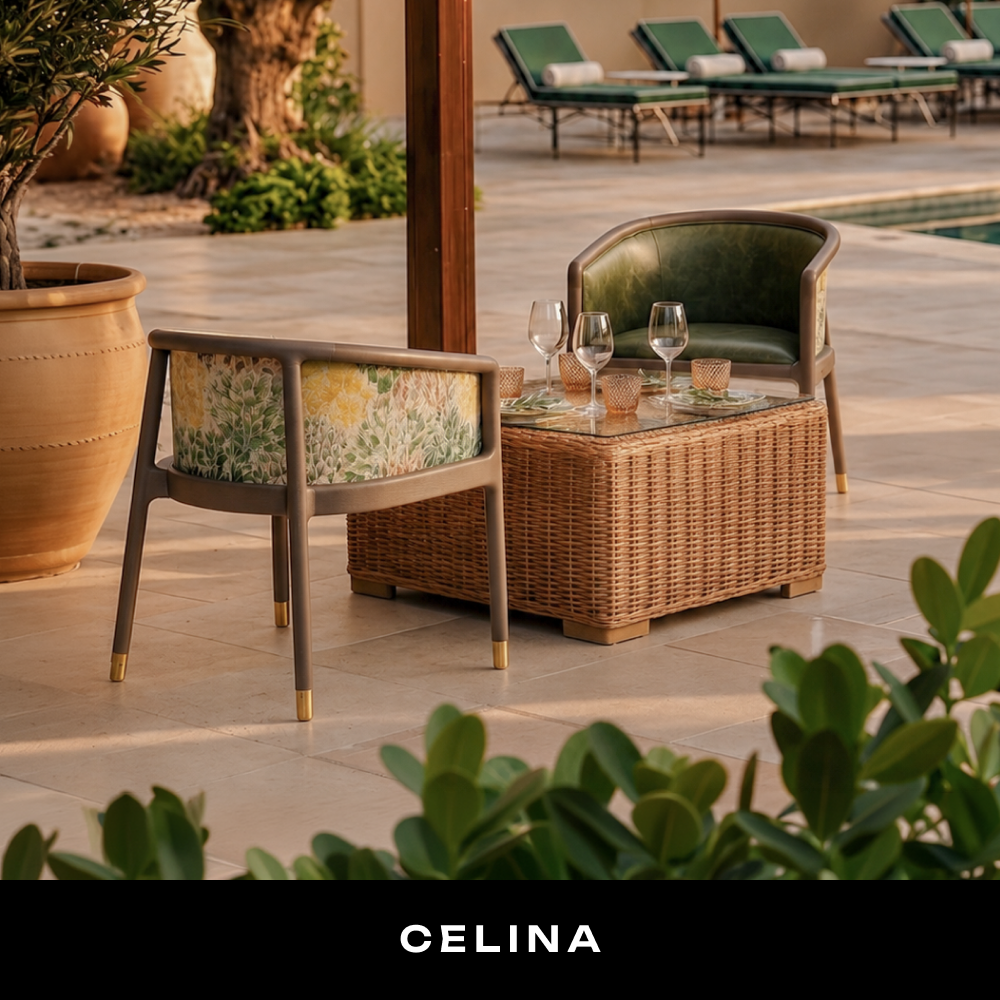 celina collection.png