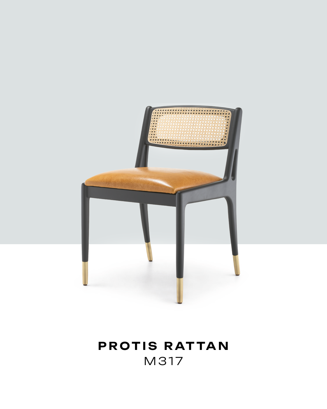 protis rattan m317 list.png