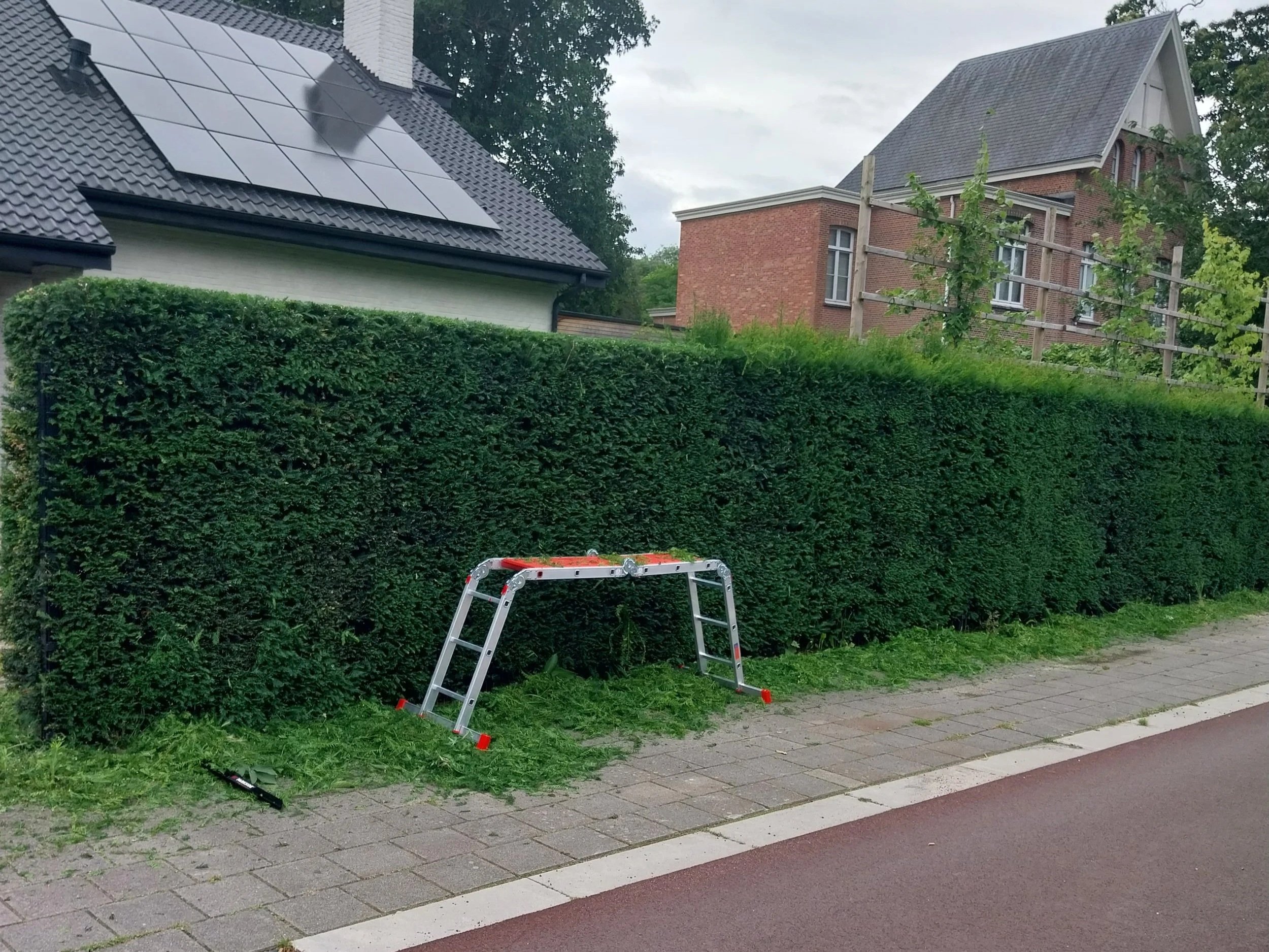 Robbe_snoeiwerken+2.jpg