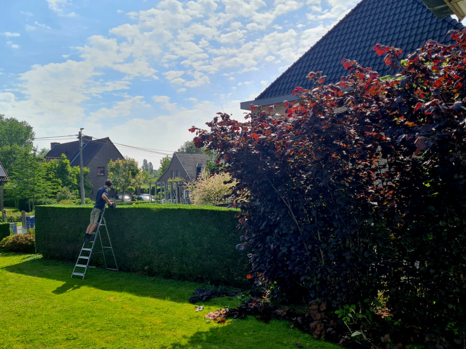 Robbe_snoeiwerken+5.png