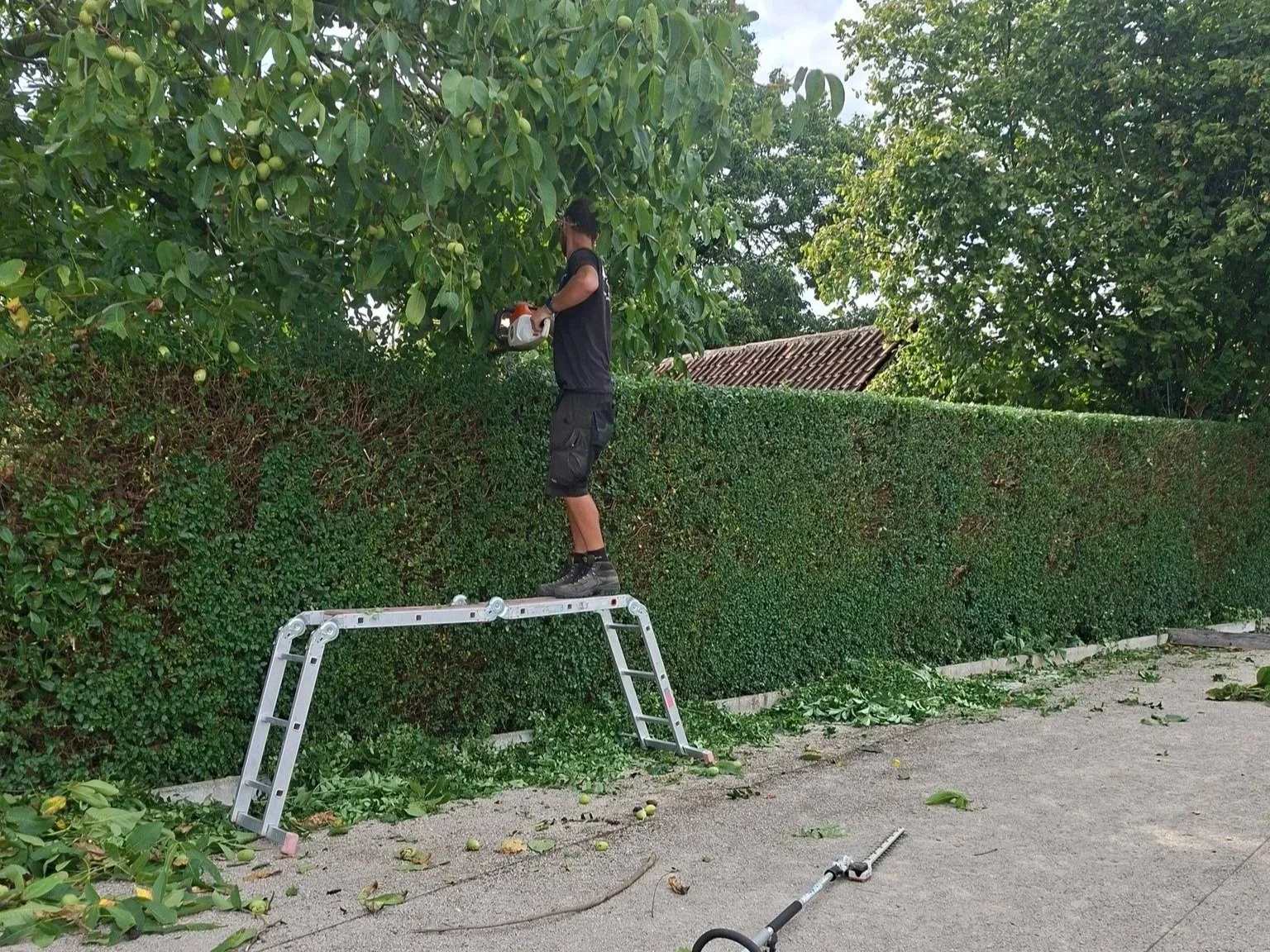 Robbe_snoeiwerken+6.jpg
