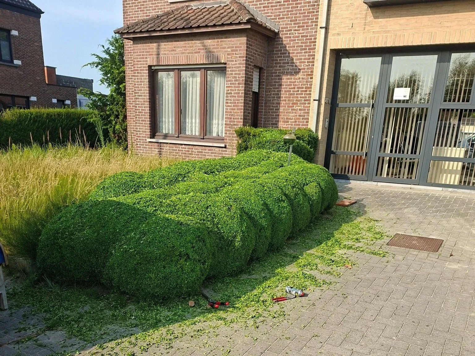Robbe_snoeiwerken+7.jpg