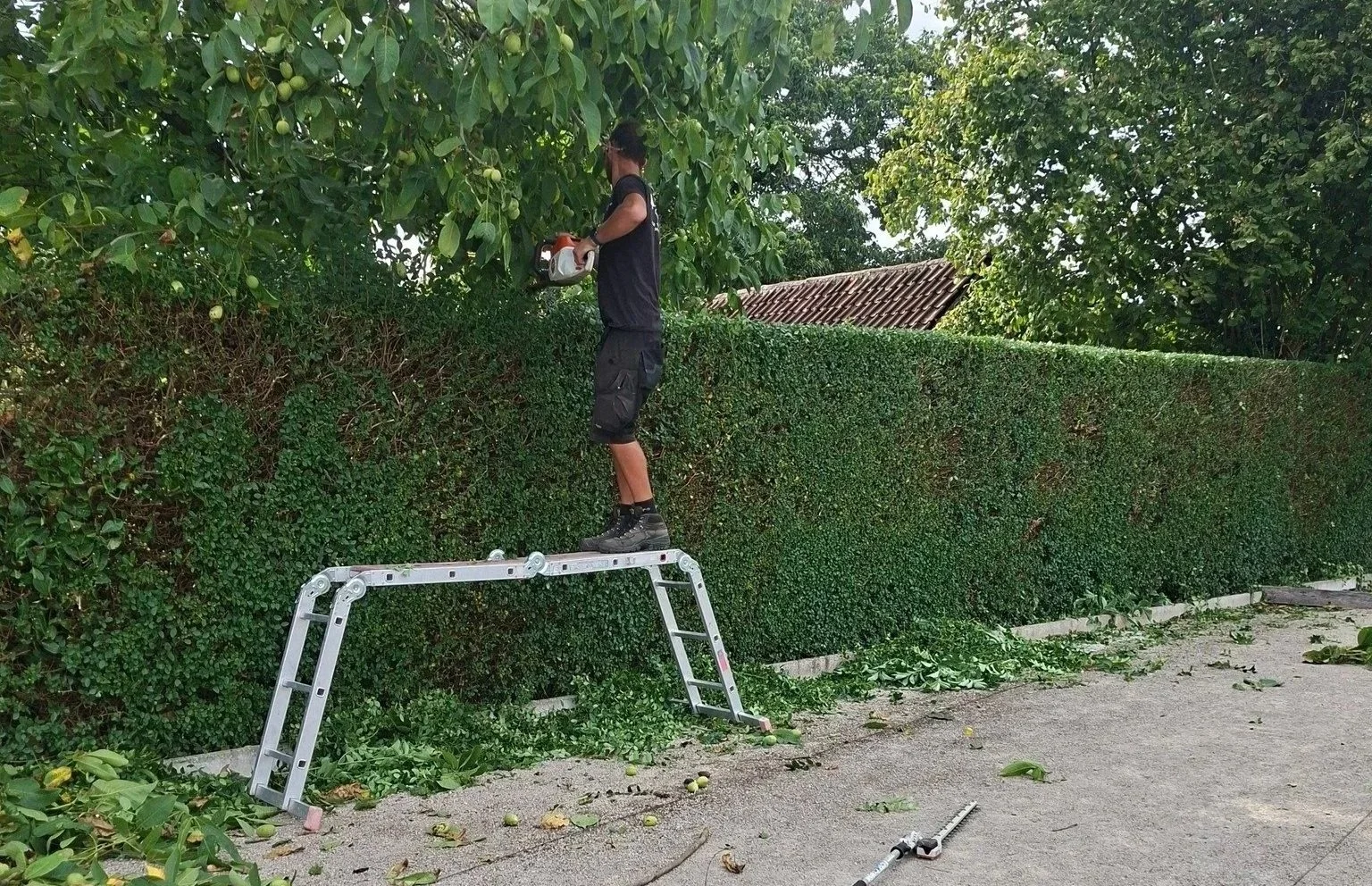 Snoeiwerken door Tuinwerken Robbe
