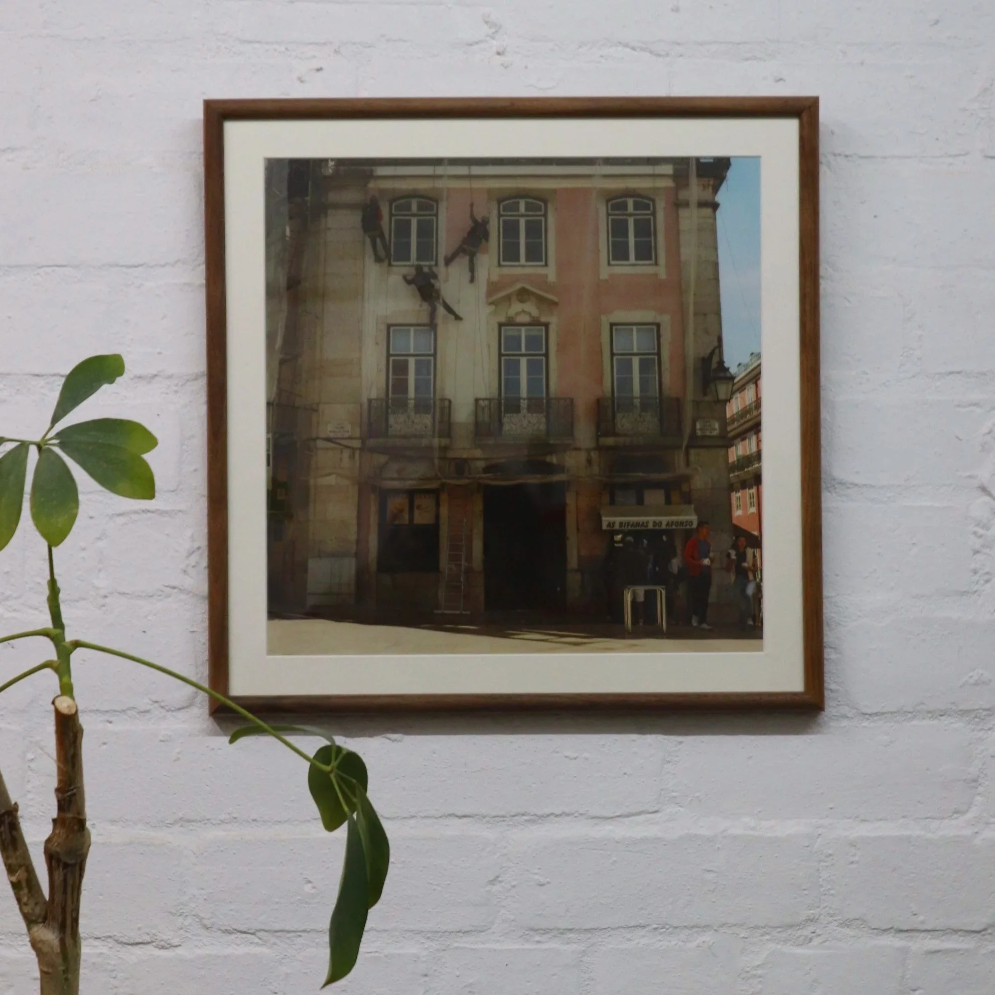 A framed photograph of a building with light-colored walls, arched windows, and decorative architectural details, hanging on a white brick wall. Part of a green plant with round leaves is visible in the lower left corner of the image.