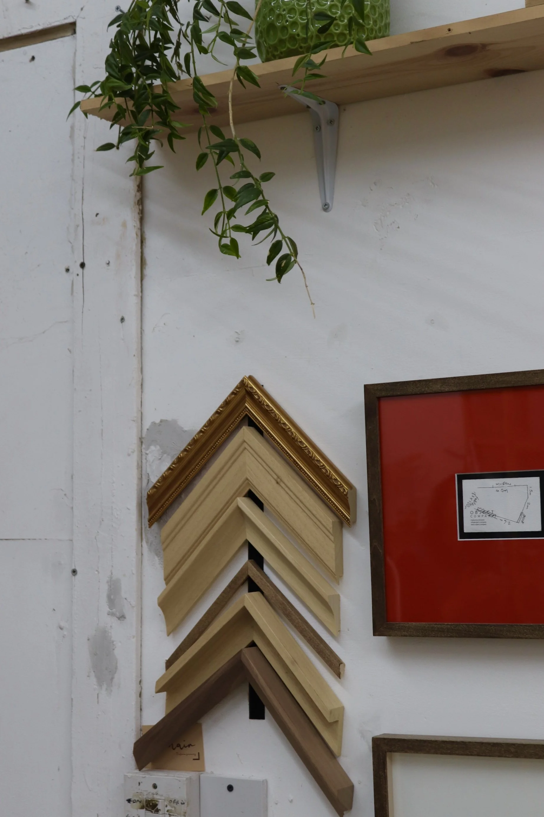 A wall display of various sample picture frames and molding trims arranged vertically, with a potted plant on a wooden shelf at the top and a red framed display on the right.
