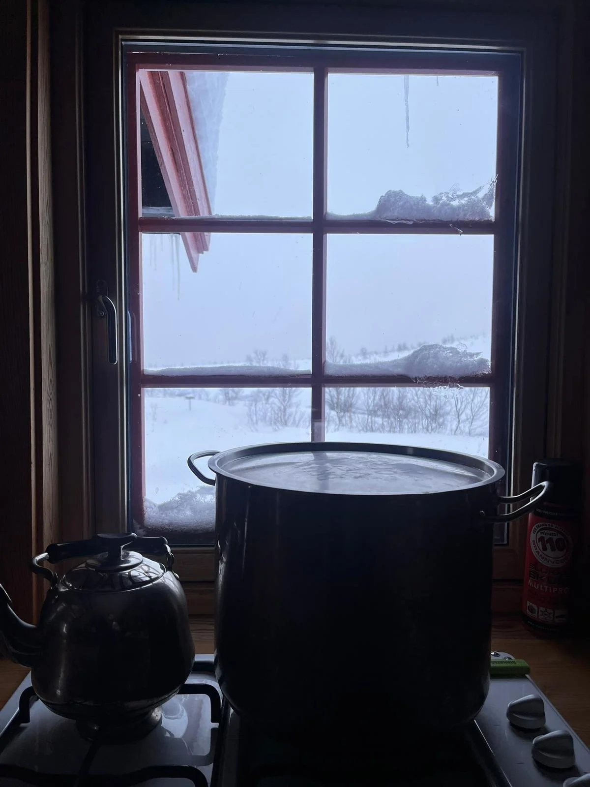 cabin experience tromsø