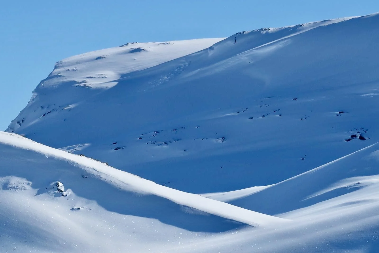 tromsø arctic cabin adventure