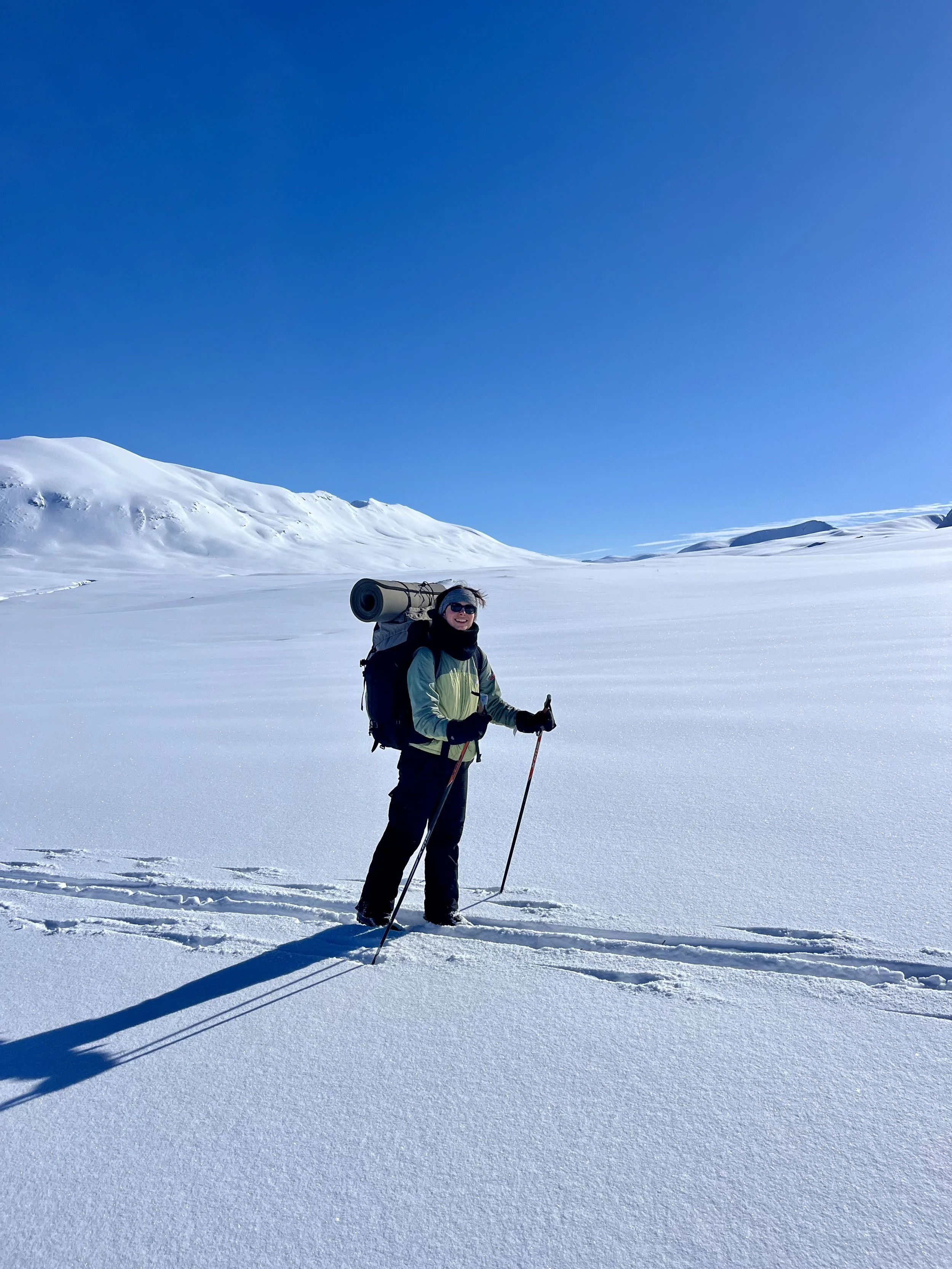 snowshoeing tromsø wilderness
