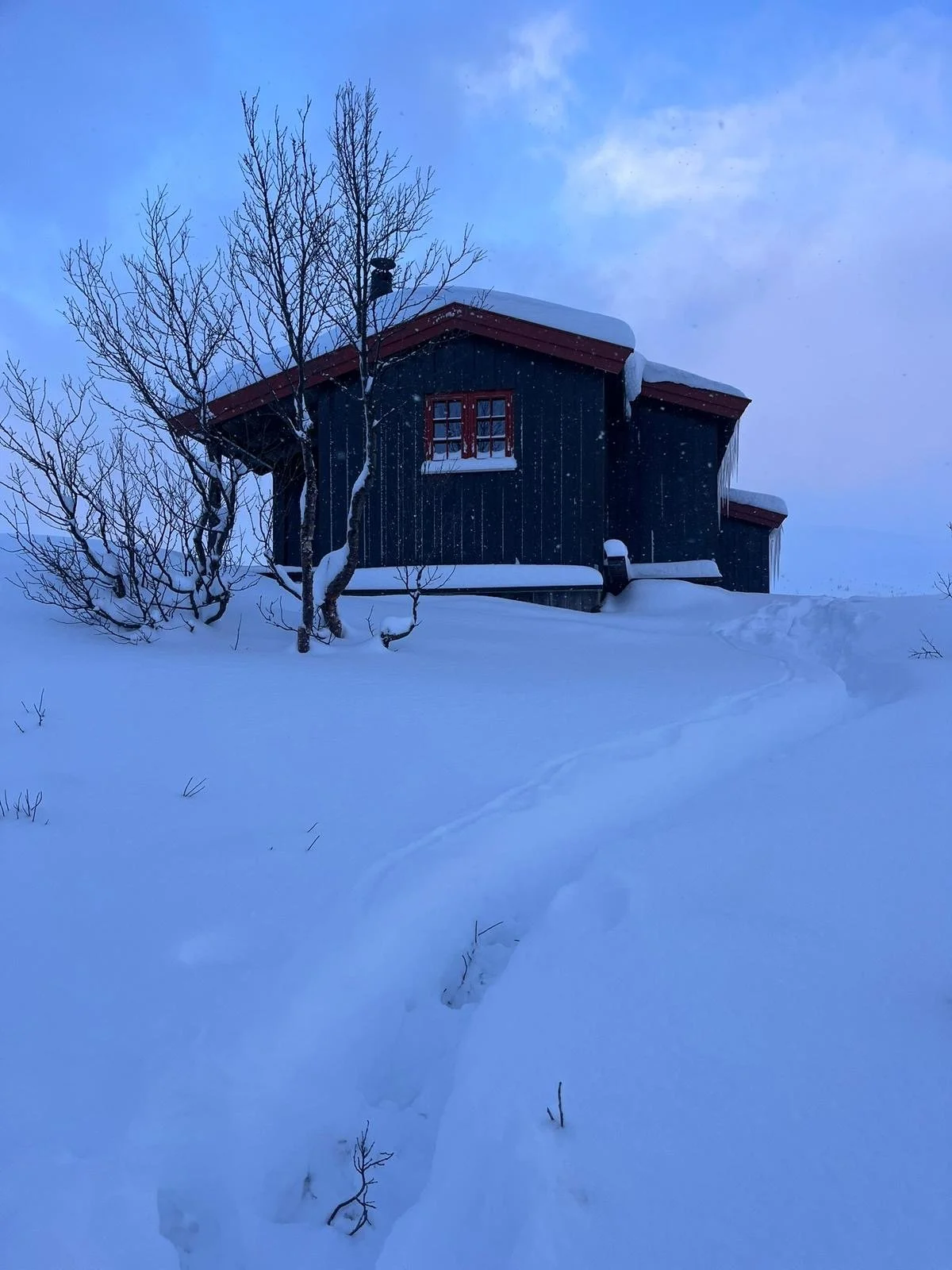 Arctic Cabin Experience — 3 Days — 23-25.02.2027