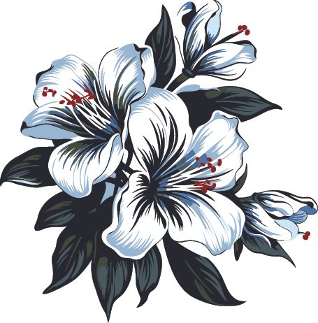 Black and white illustrated lily flowers with dark leaves and red stamens.