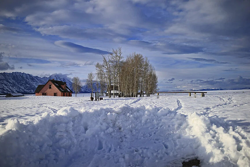 I Mistreated You and I'm Sorry