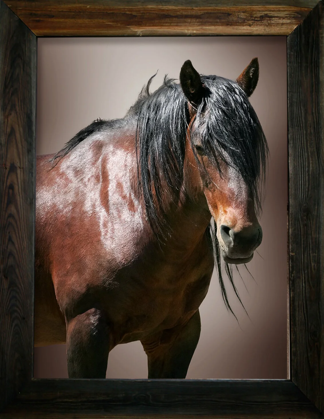 Orphan Child from $295.00