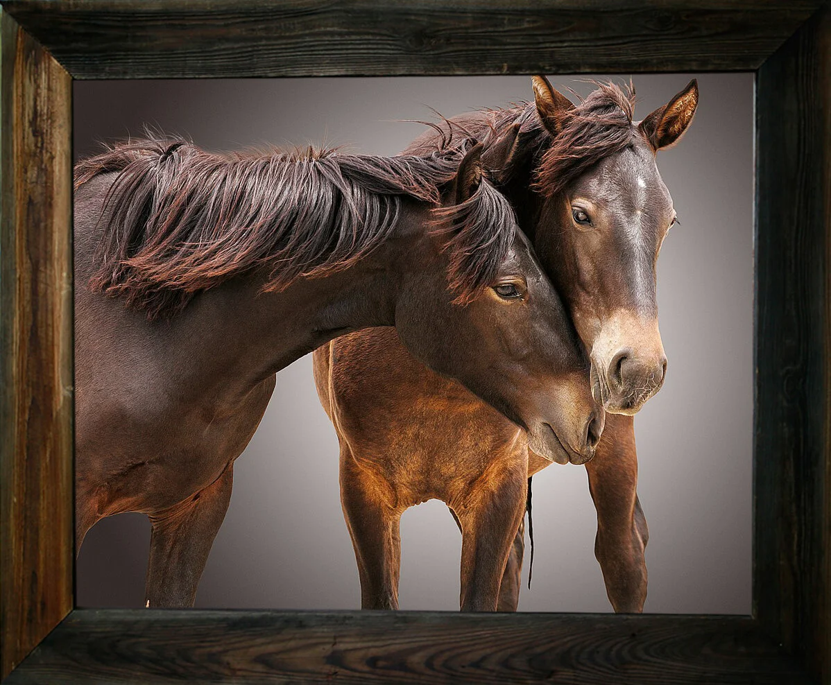 I Started Loving You Again from $295.00