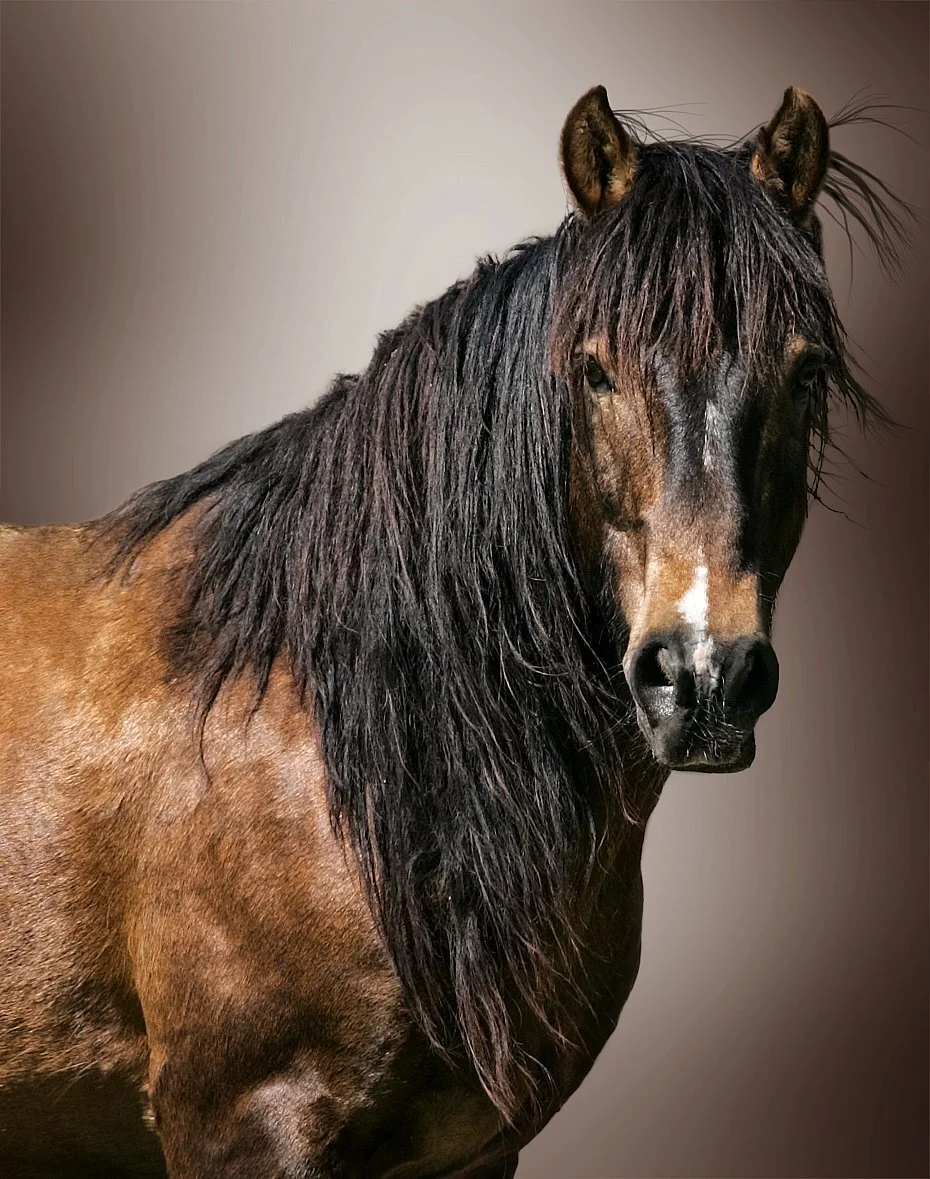 Lonesome Fugitive from $295.00