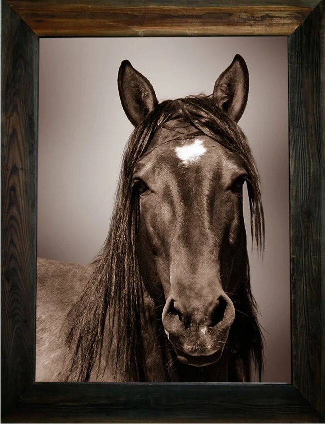 Rank Stranger from $295.00